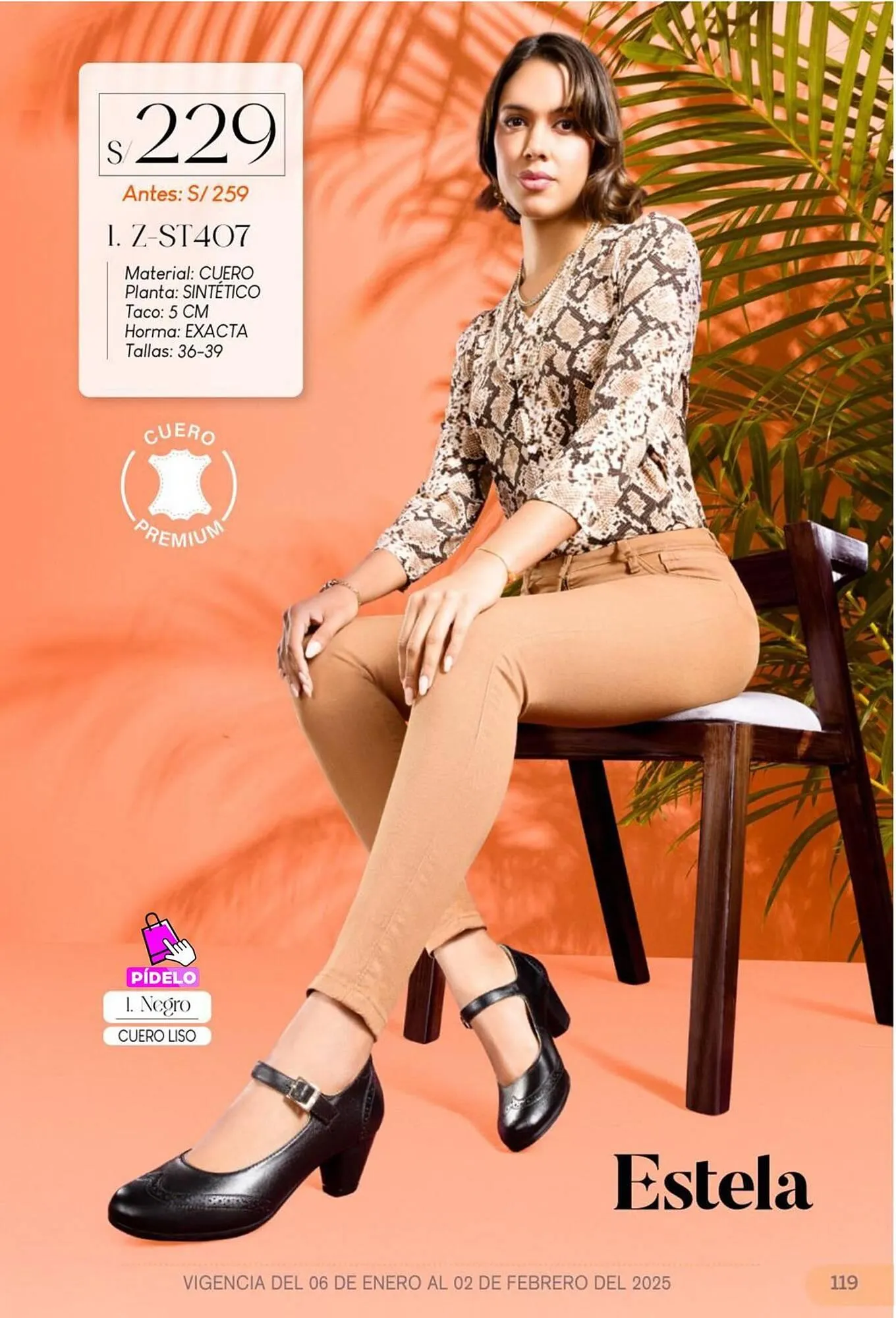 Catalogo de Catálogo Sokso 31 de diciembre al 2 de febrero 2025 - Pag 119