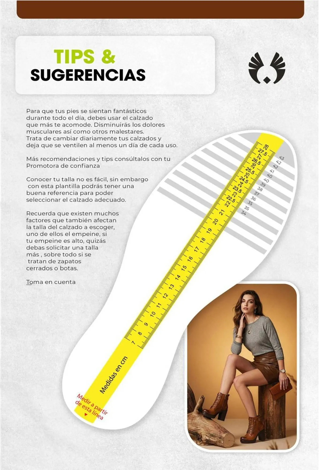 Catalogo de Catálogo Sokso 6 de abril al 3 de mayo 2026 - Pag 145