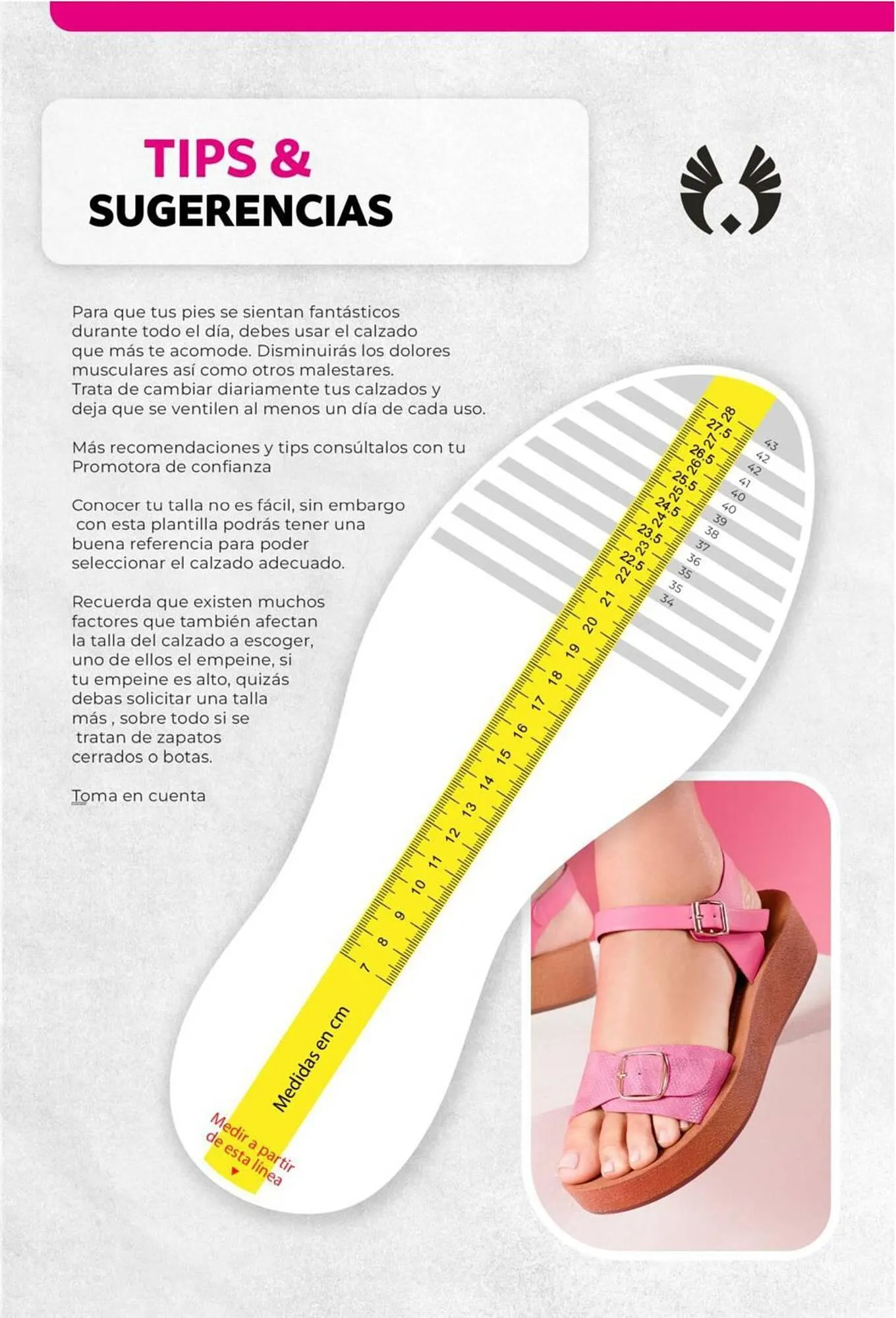 Catalogo de Catálogo Sokso 30 de octubre al 30 de noviembre 2025 - Pag 93