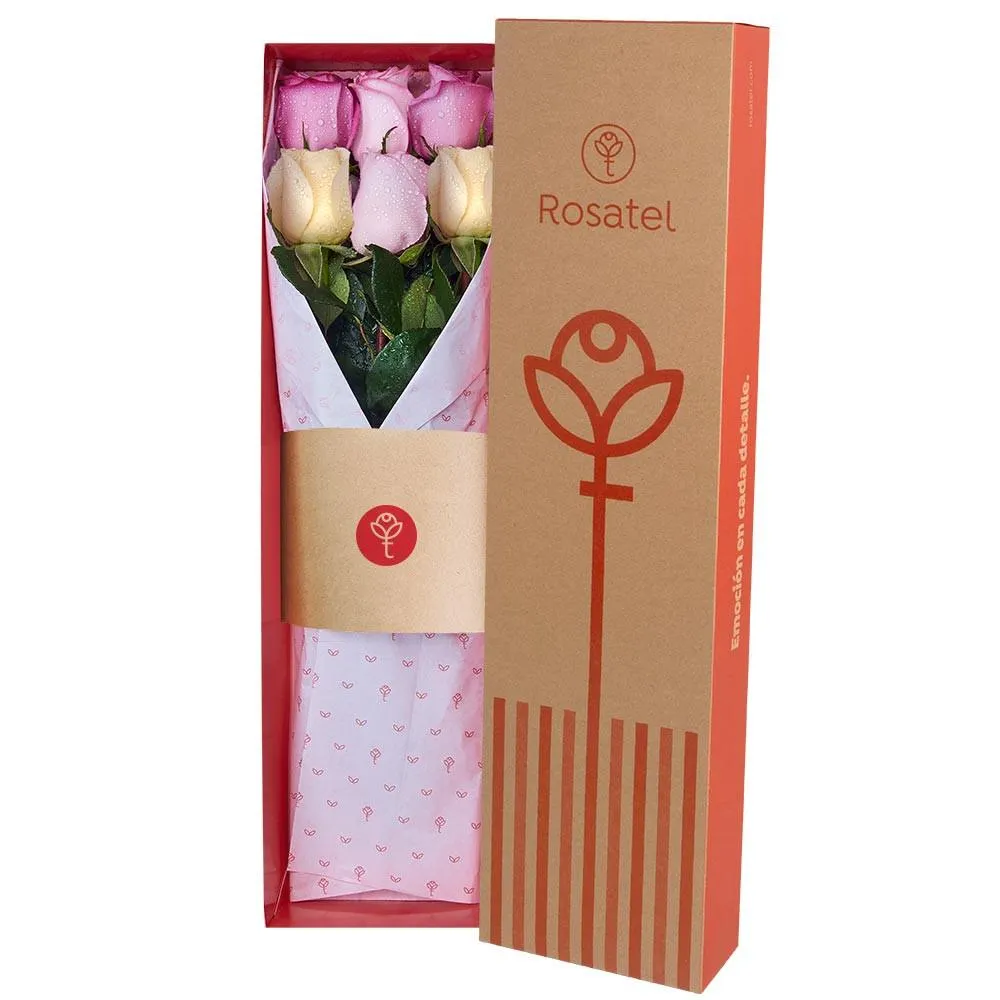 Caja Natural con 6 Rosas Colores Pasteles