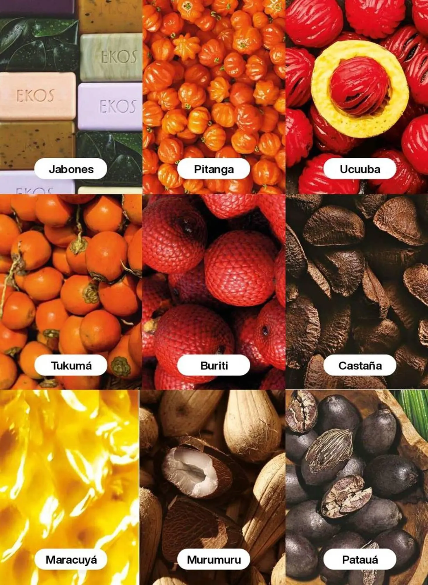 Catalogo de Catálogo Natura 17 de octubre al 31 de octubre 2025 - Pag 114