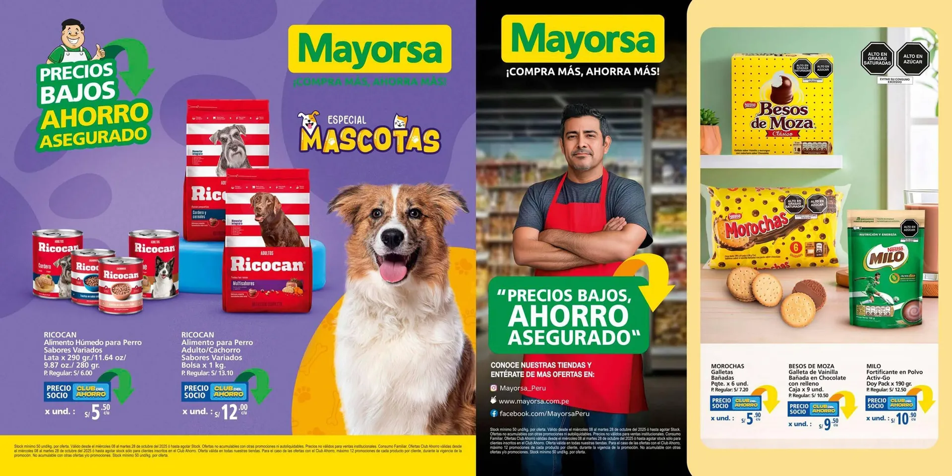 Catálogo Mayorsa - 1