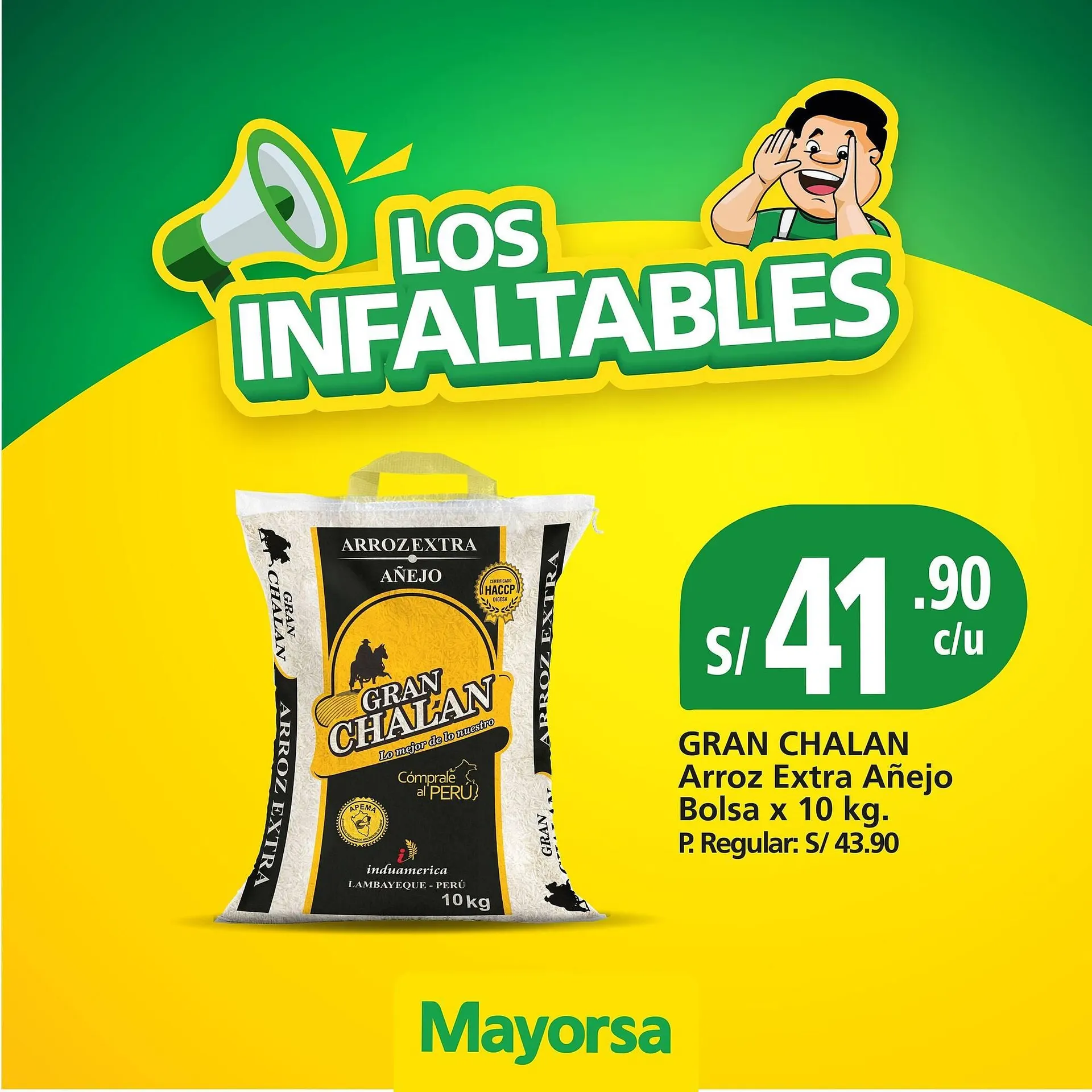 Catálogo Mayorsa - 1