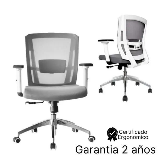 Silla Ergonomica Delphi Blanco II