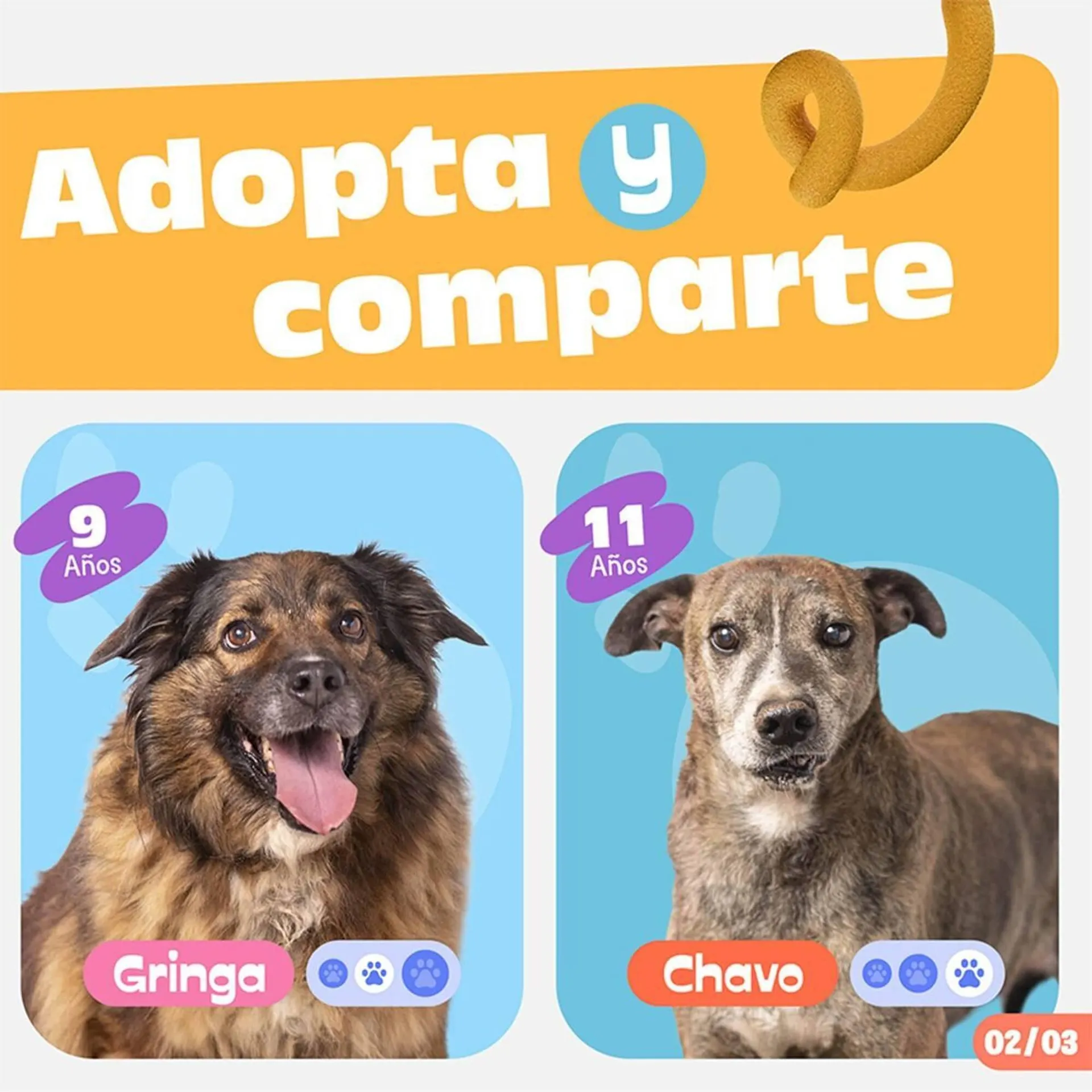 Catalogo de Catálogo Plaza Vea 11 de mayo al 31 de mayo 2026 - Pag 3
