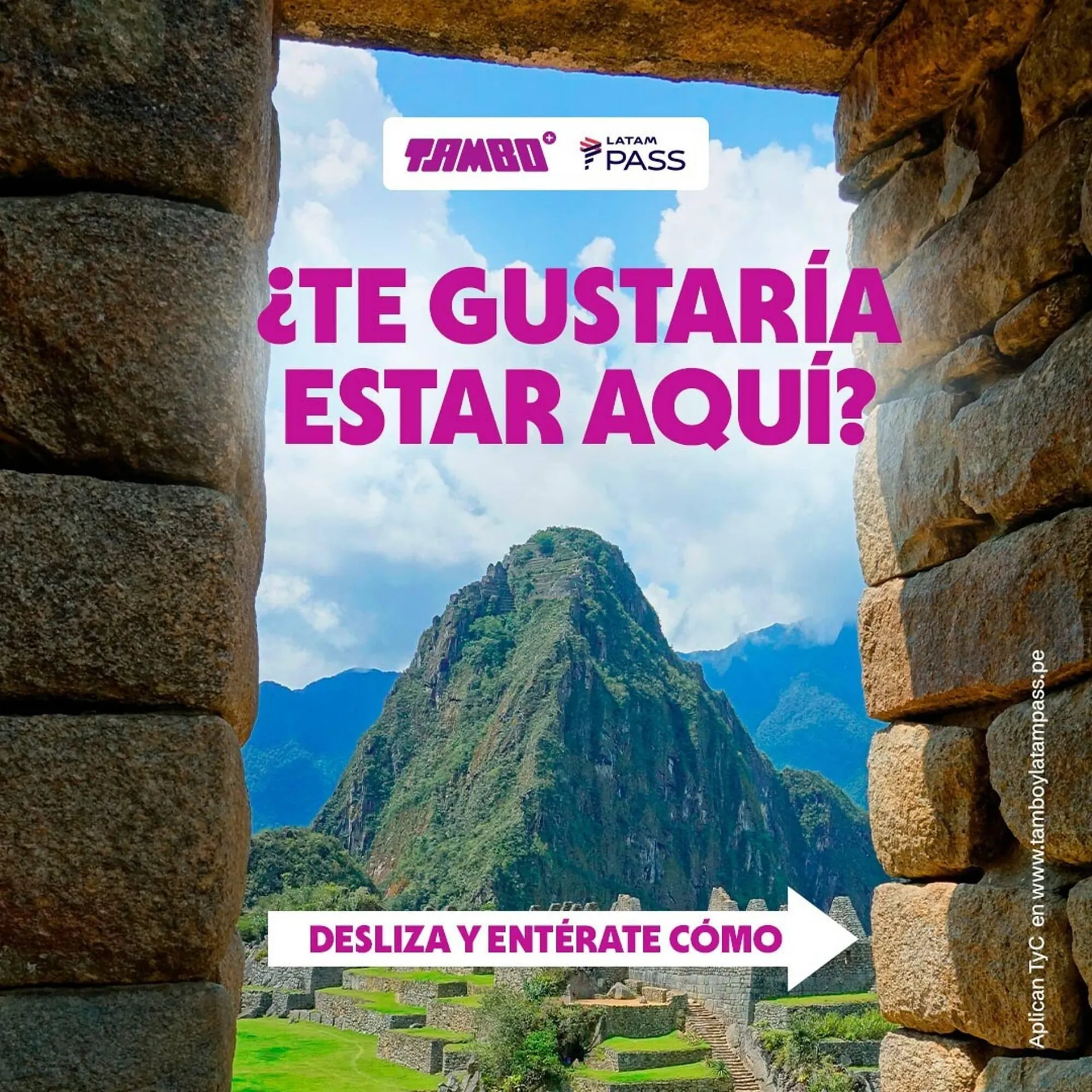 Catalogo de Catálogo Tambo 13 de marzo al 17 de marzo 2025 - Pag 1