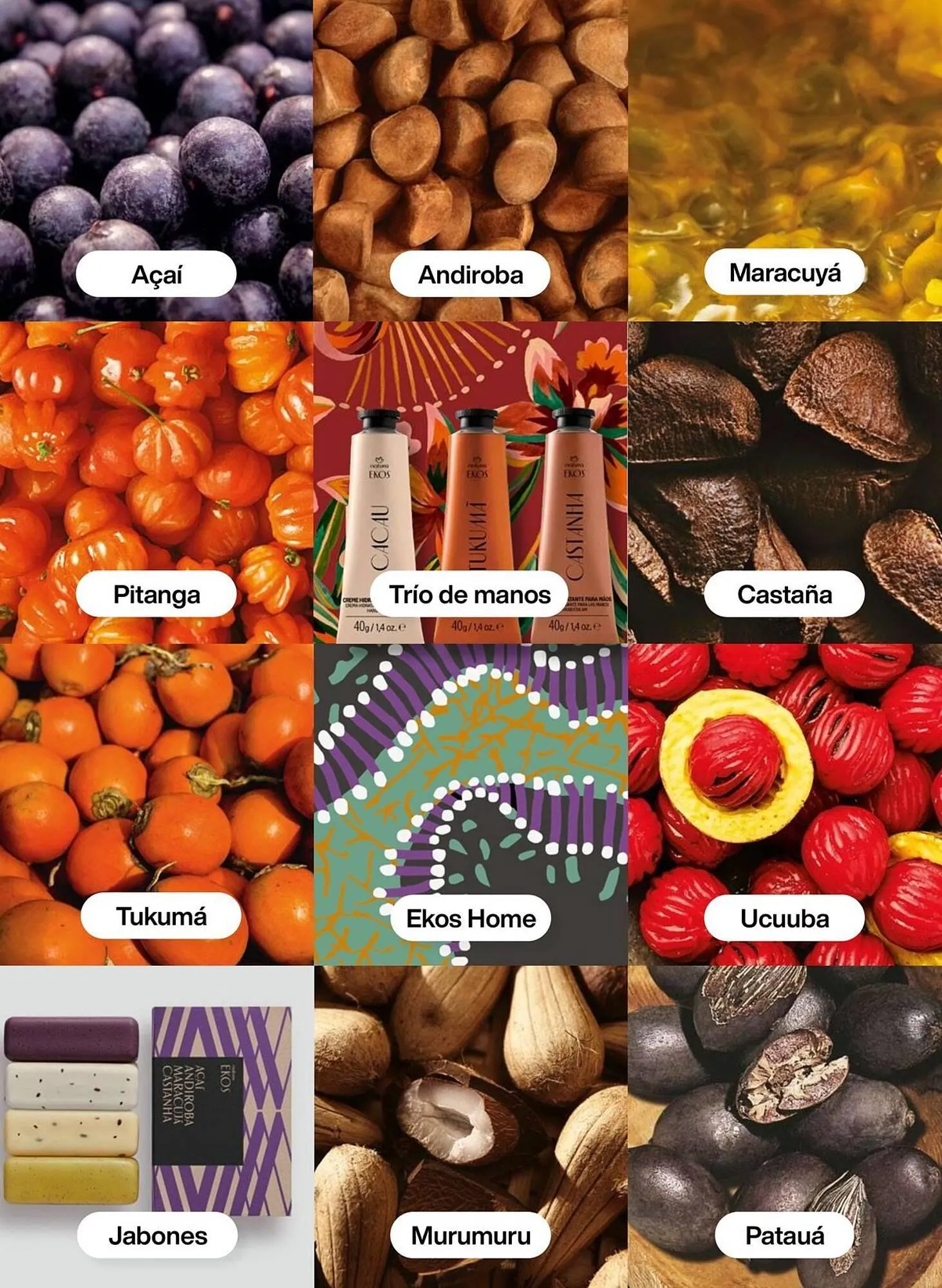 Catalogo de Catálogo Natura 29 de diciembre al 31 de diciembre 2025 - Pag 119