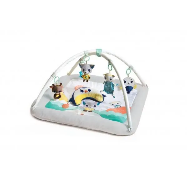 GIMNASIO PLUSH INTO THE WILD