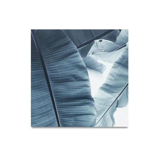 Impresiones en metal Botanic - A40xL40cm.