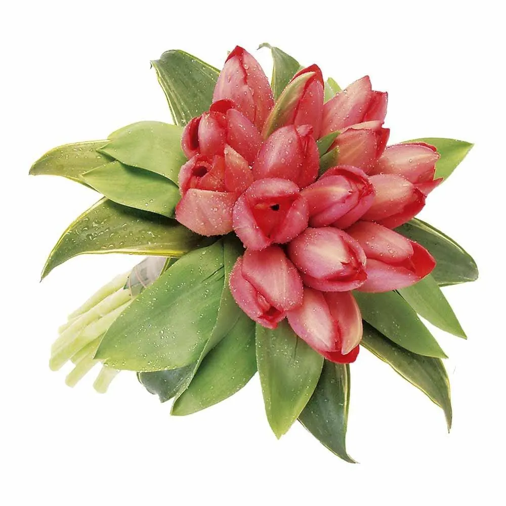 Bouquet con Tulipanes