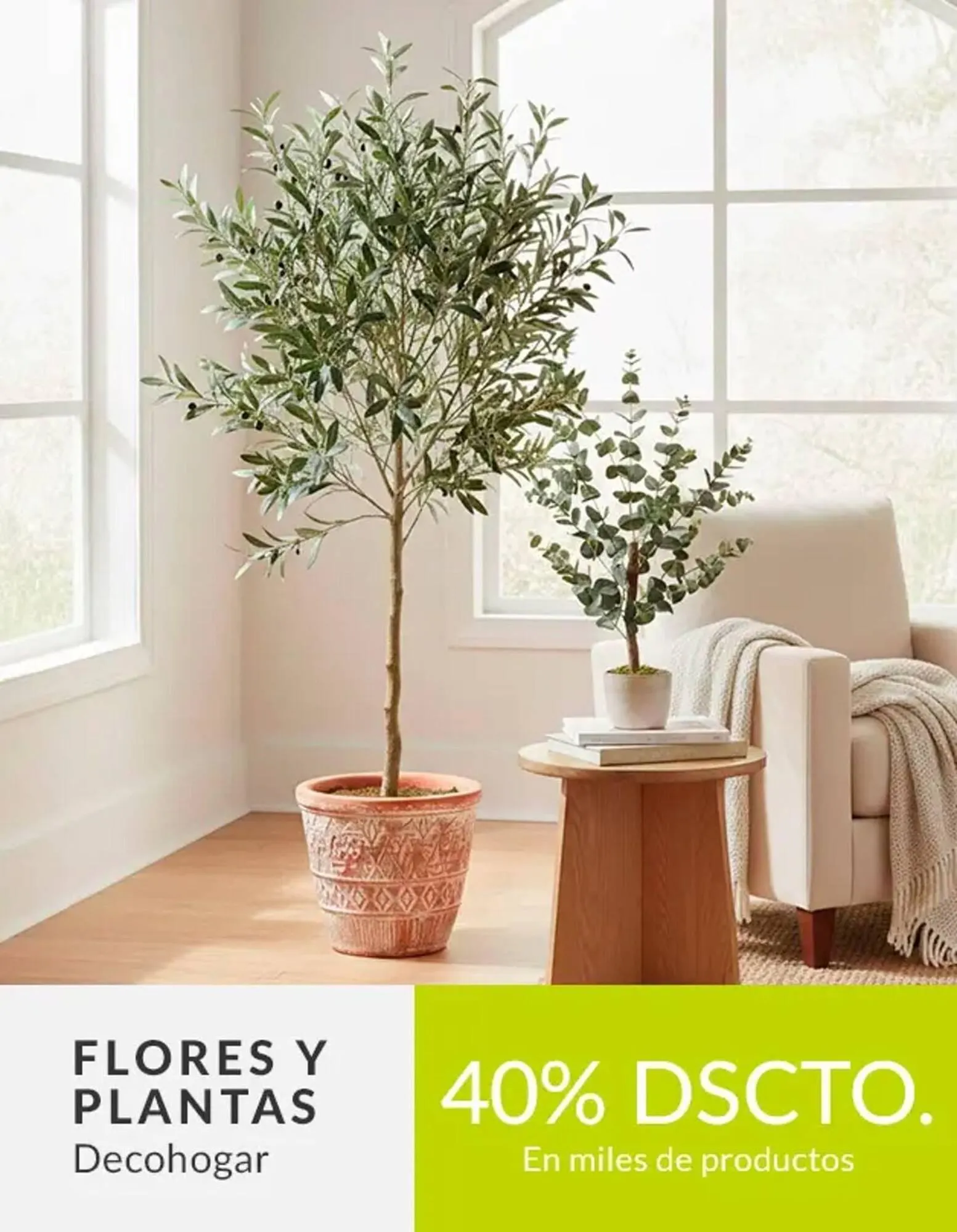 Catalogo de Catálogo Falabella 4 de febrero al 28 de febrero 2026 - Pag 6