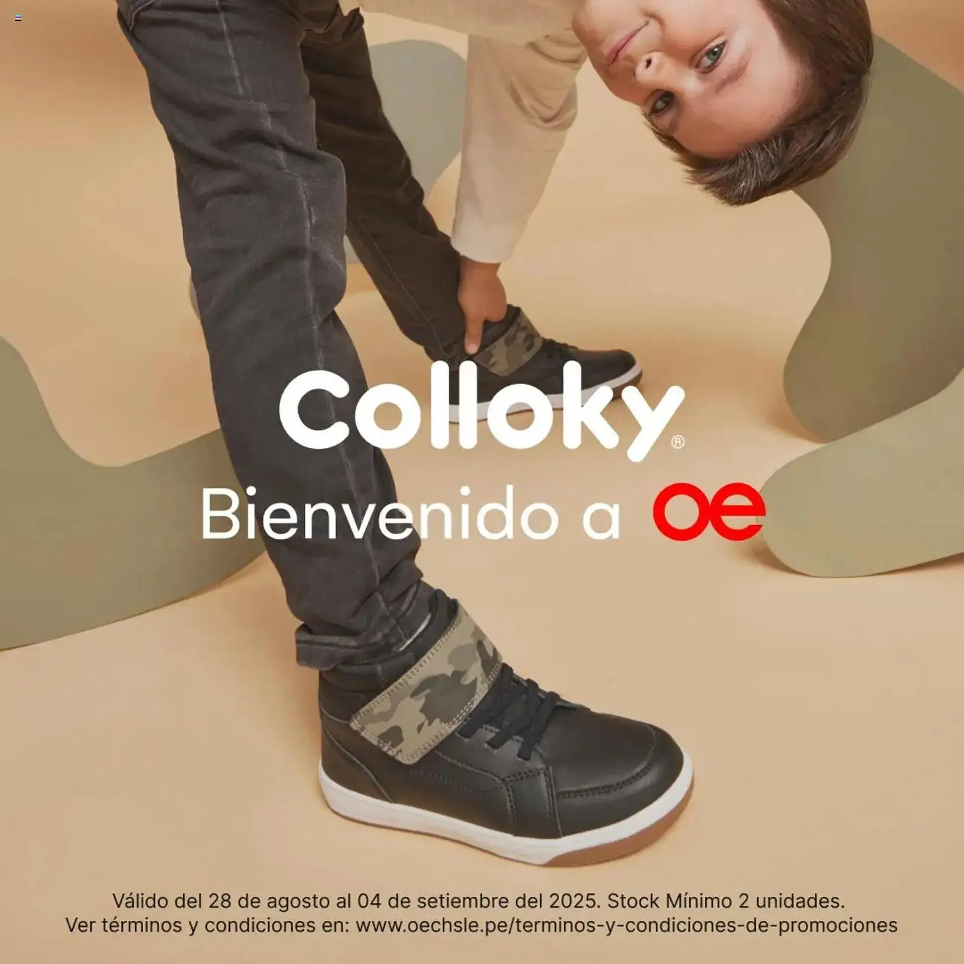 Catálogo Oechsle - 1