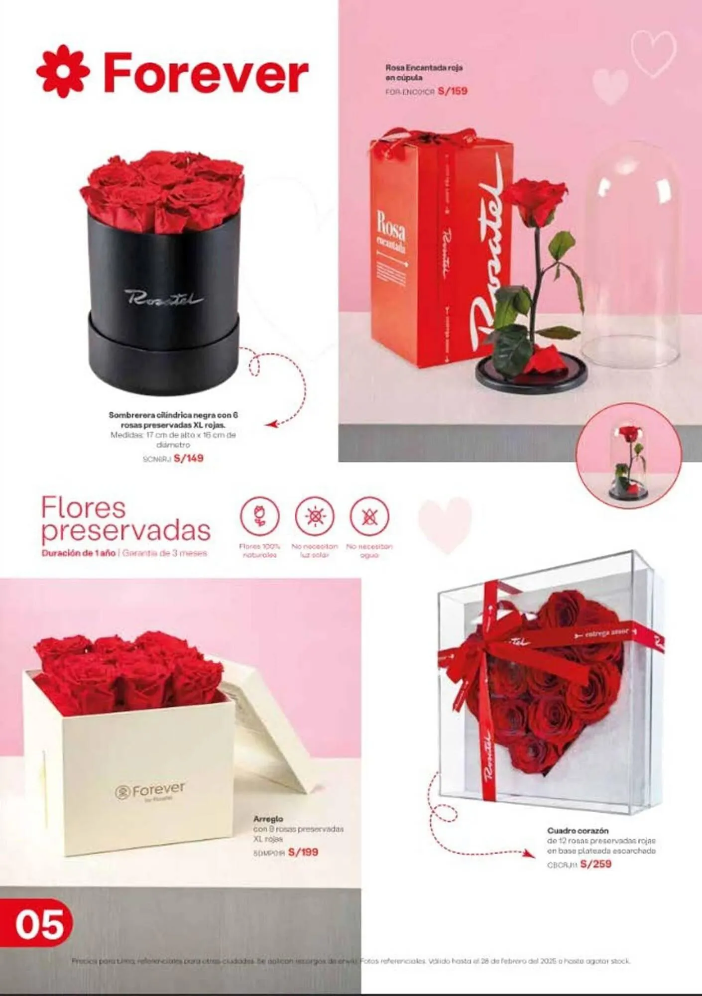 Catalogo de Catálogo Rosatel 29 de enero al 28 de febrero 2025 - Pag 6