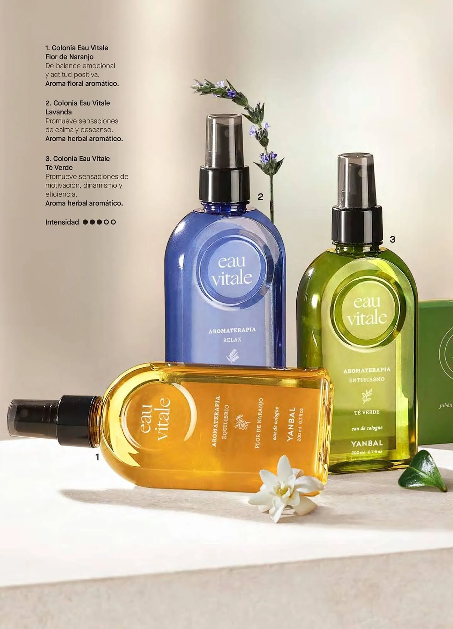 Catalogo de Catálogo Yanbal 10 de agosto al 6 de setiembre 2024 - Pag 78