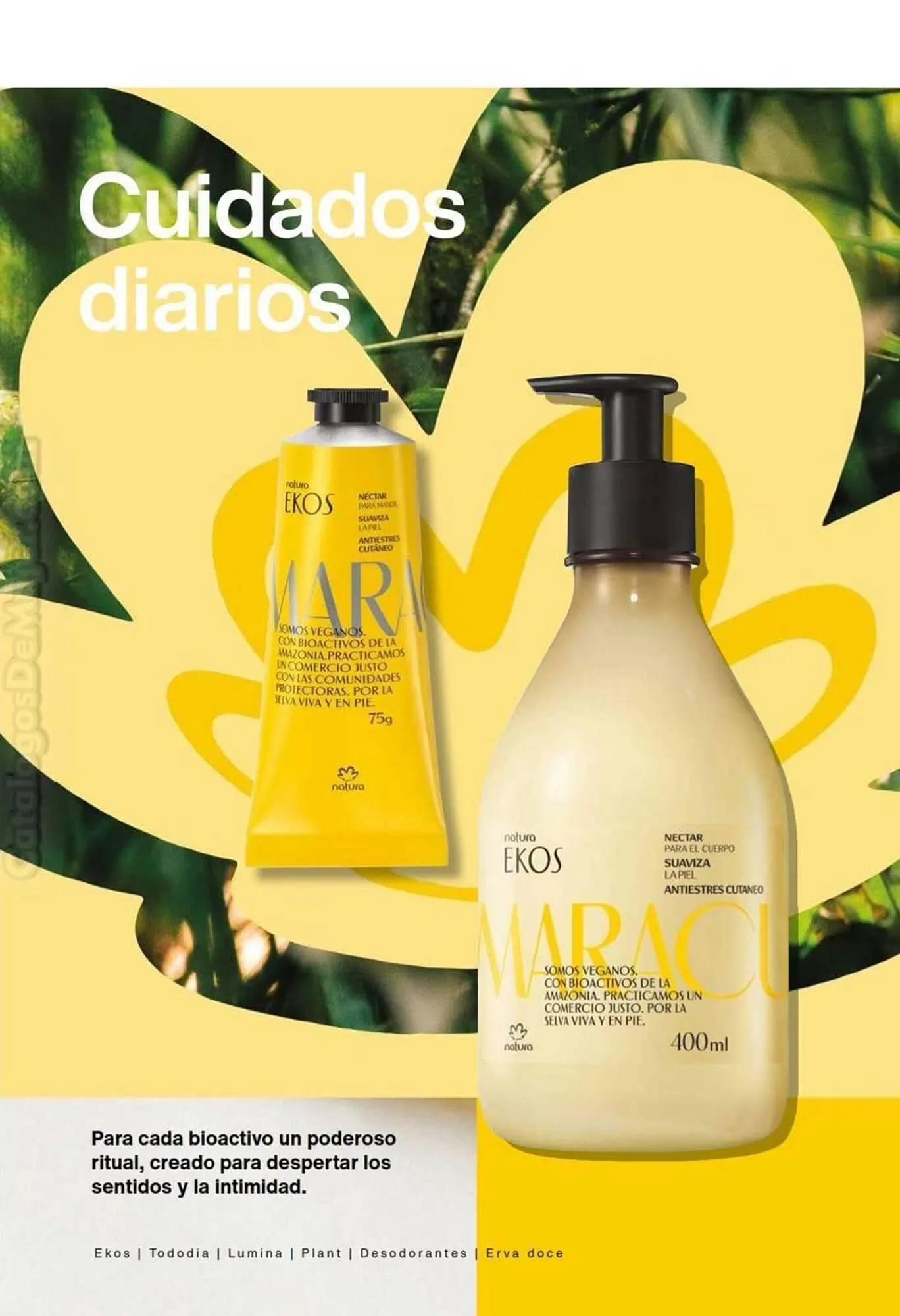 Catalogo de Catálogo Natura 13 de mayo al 20 de mayo 2024 - Pag 162