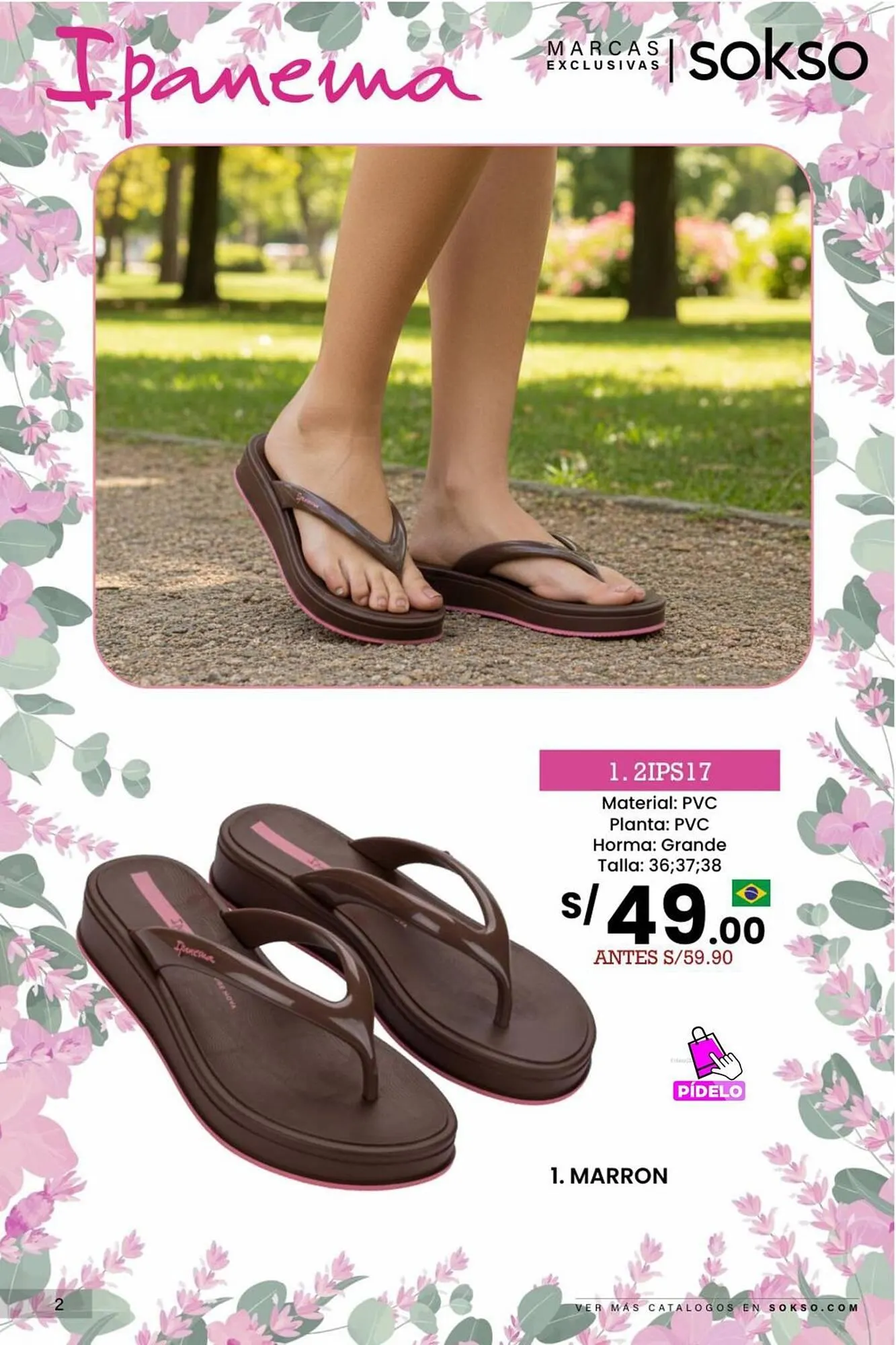 Catalogo de Catálogo Sokso 19 de enero al 15 de febrero 2026 - Pag 2