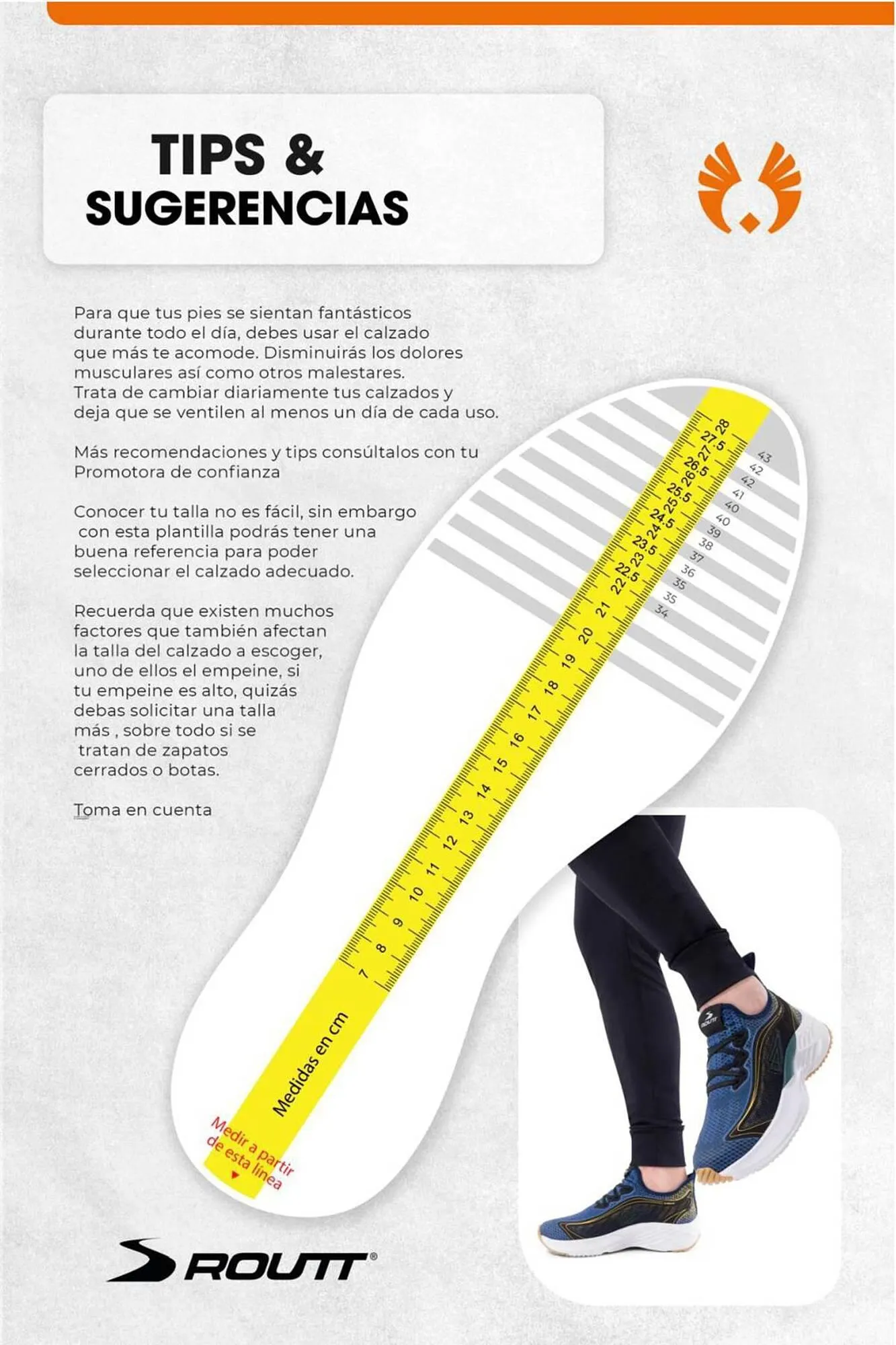 Catalogo de Catálogo Sokso 17 de noviembre al 31 de diciembre 2023 - Pag 55