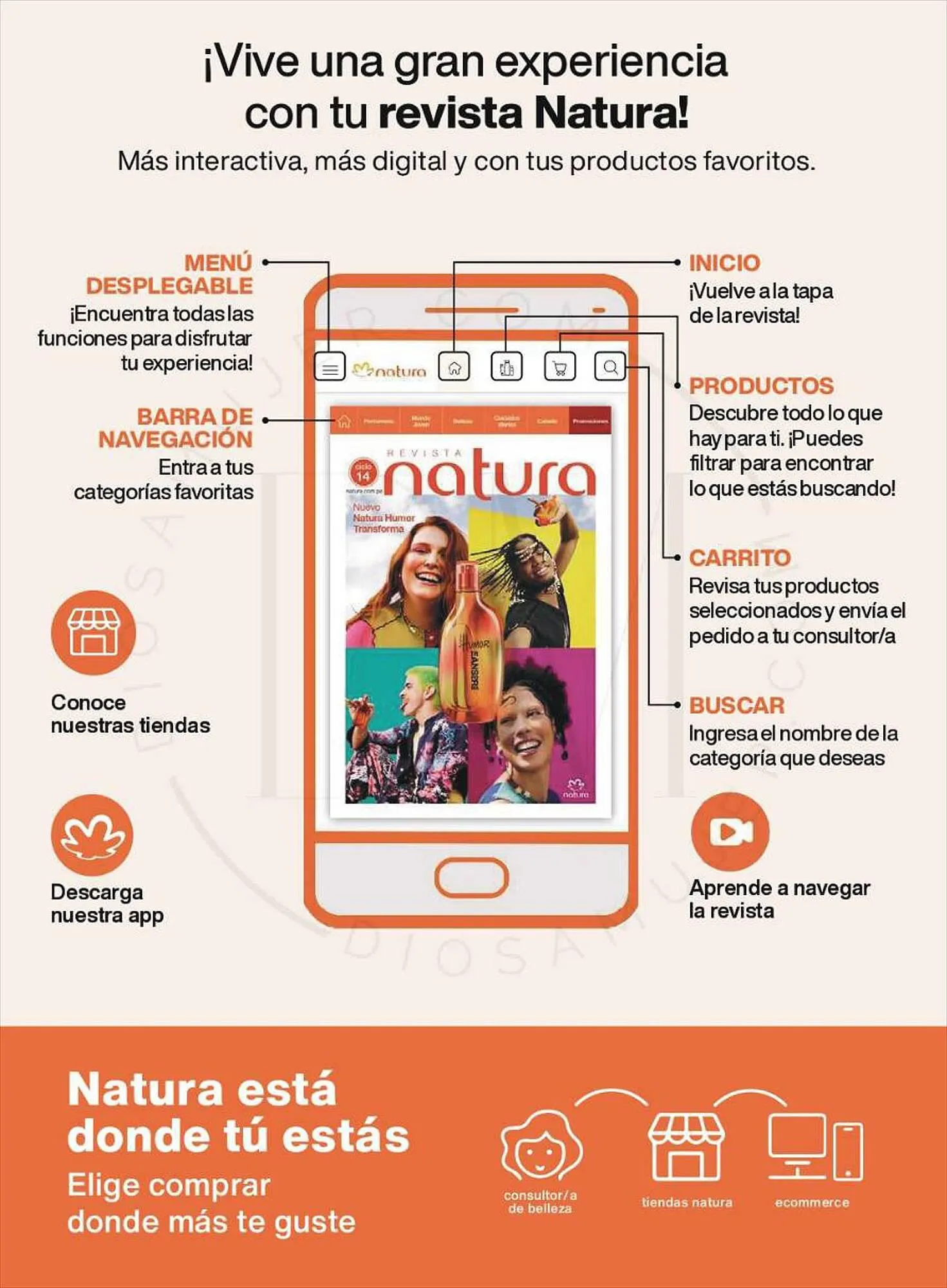 Catalogo de Catálogo Natura 5 de setiembre al 14 de setiembre 2023 - Pag 6