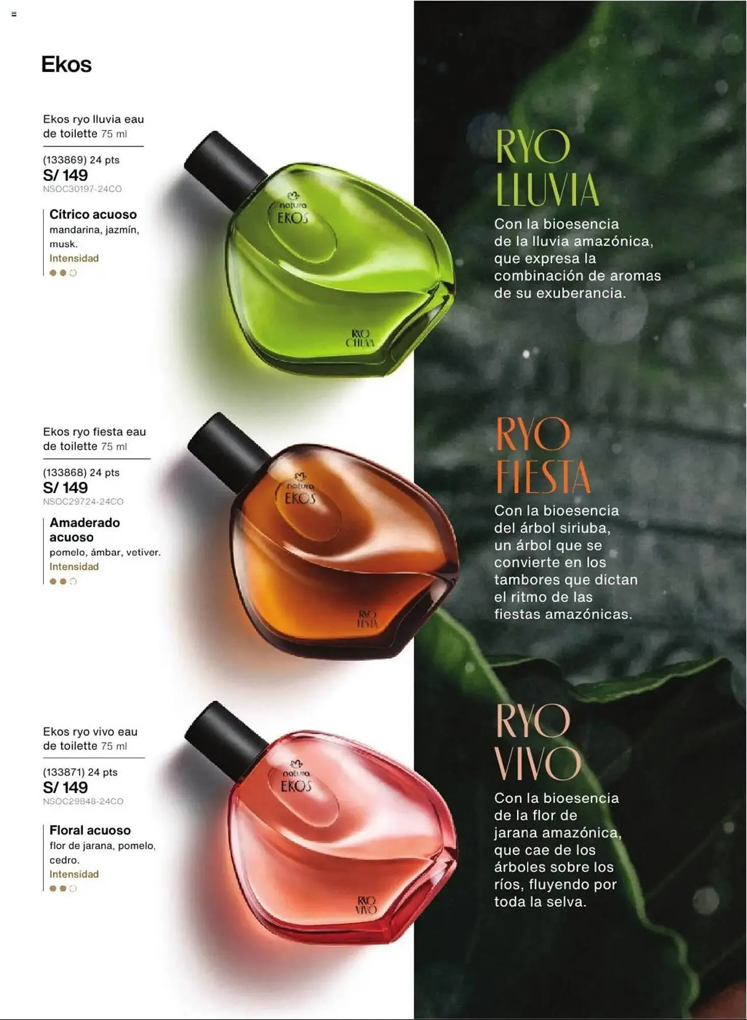 Catalogo de Catálogo Natura 12 de marzo al 5 de mayo 2025 - Pag 37