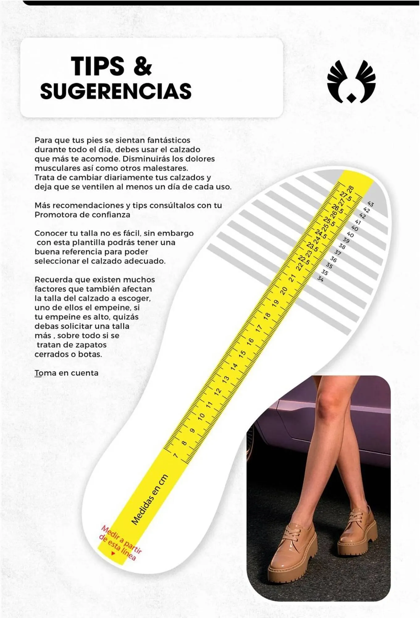 Catalogo de Catálogo Sokso 27 de febrero al 4 de abril 2026 - Pag 85