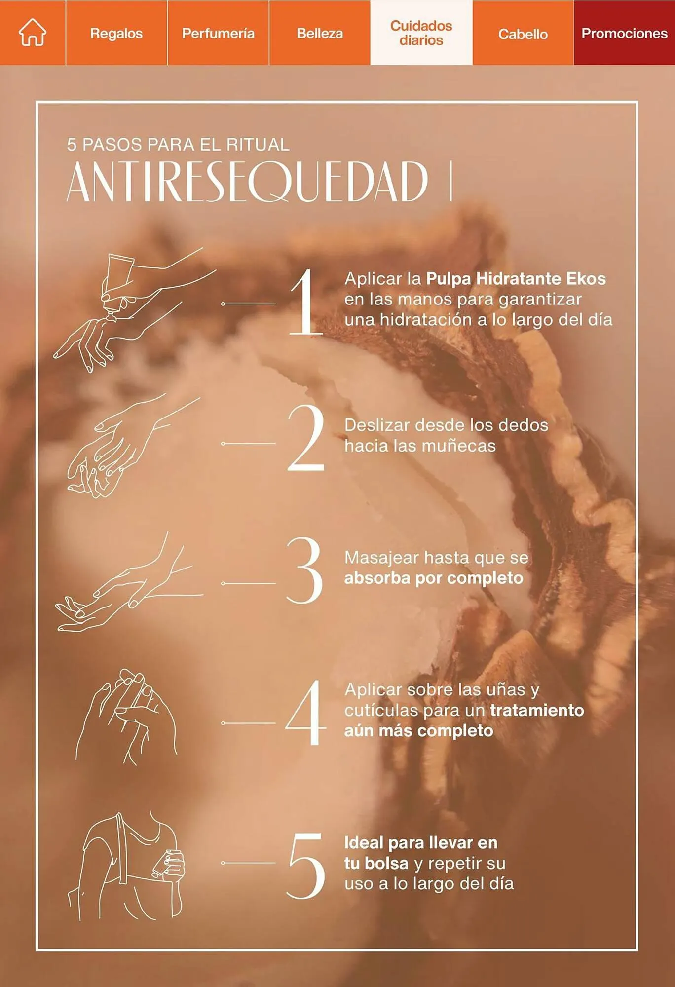 Catalogo de Catálogo Natura 26 de enero al 13 de febrero 2024 - Pag 115