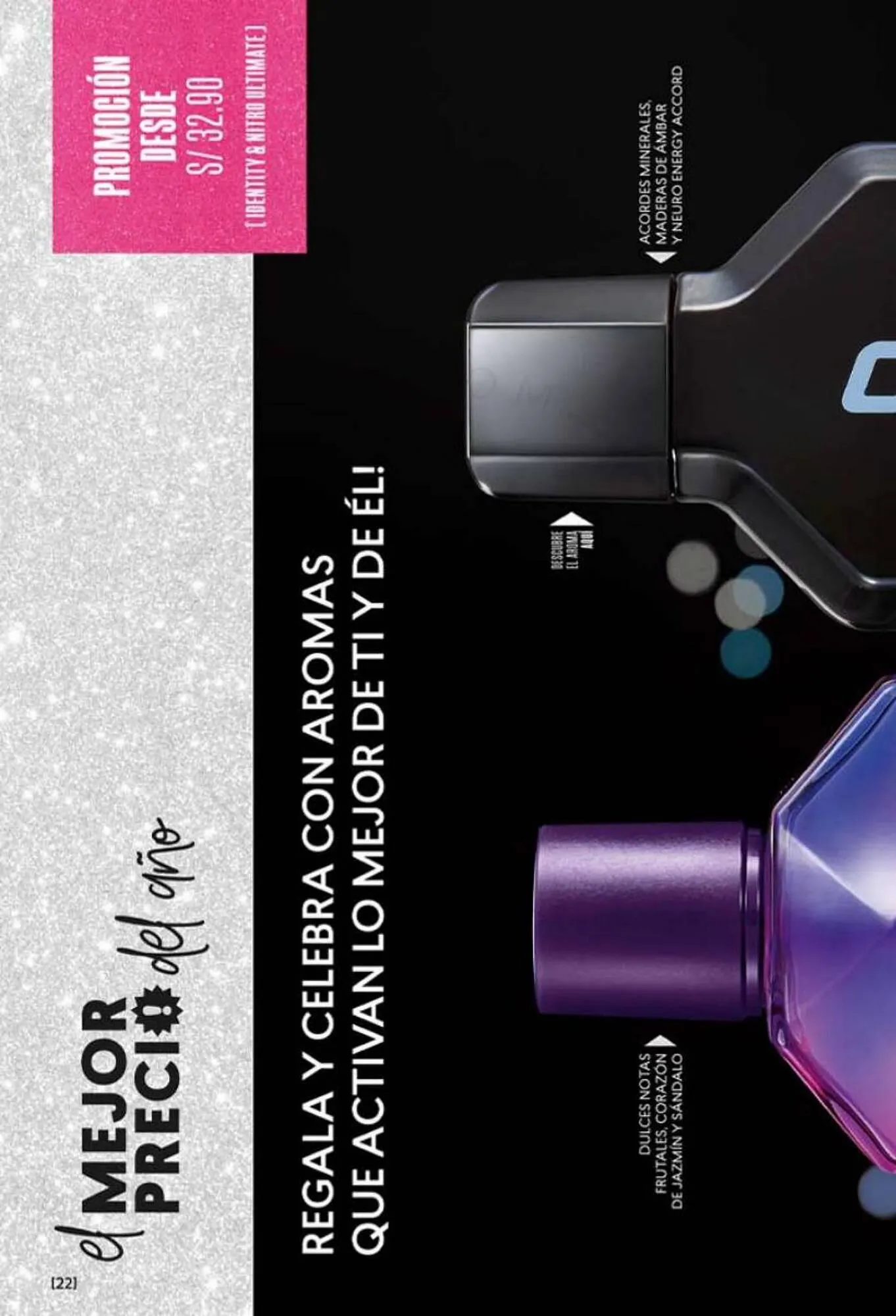 Catalogo de Catálogo Cyzone 20 de noviembre al 15 de diciembre 2023 - Pag 22