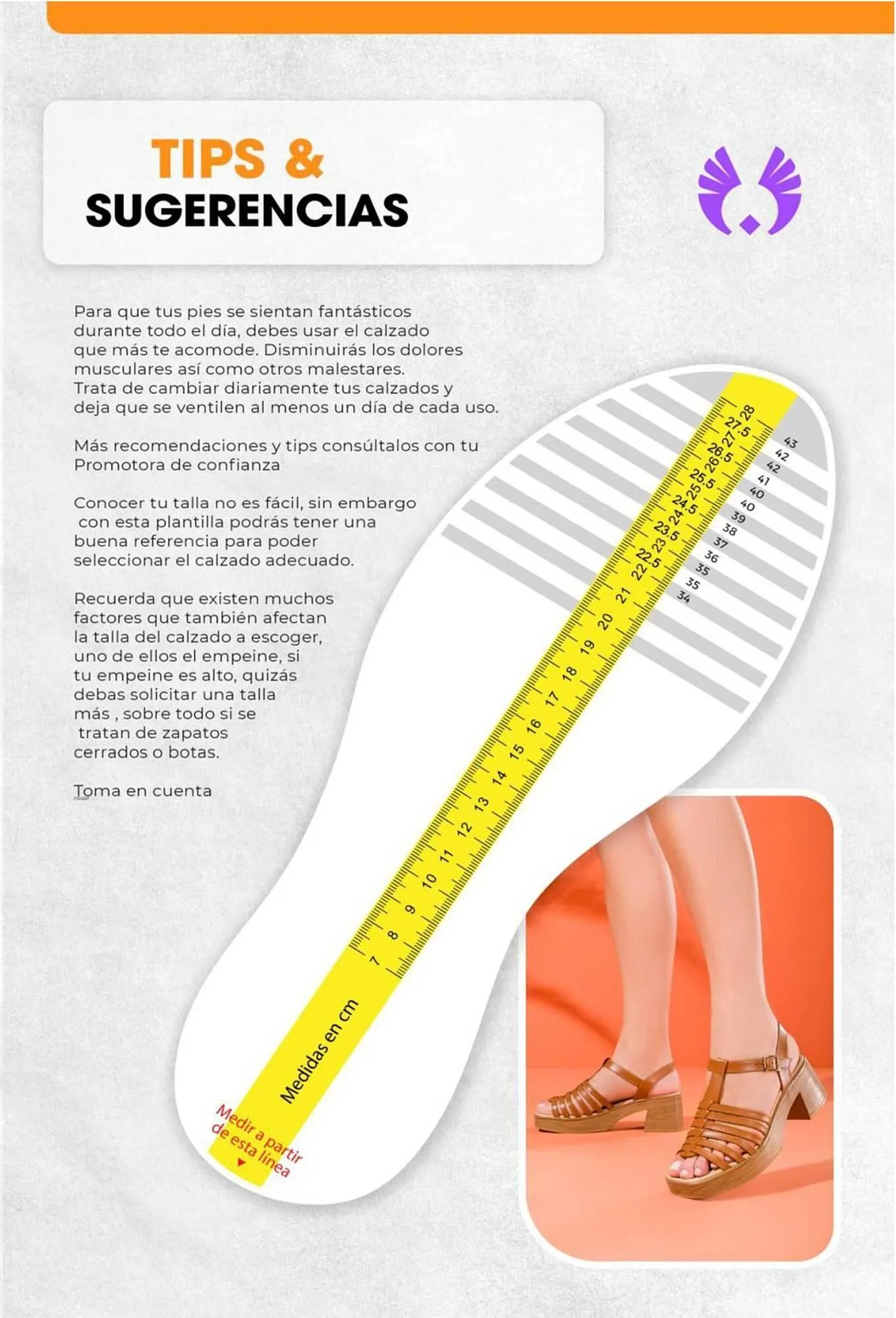 Catalogo de Catálogo Sokso 31 de diciembre al 2 de febrero 2025 - Pag 153