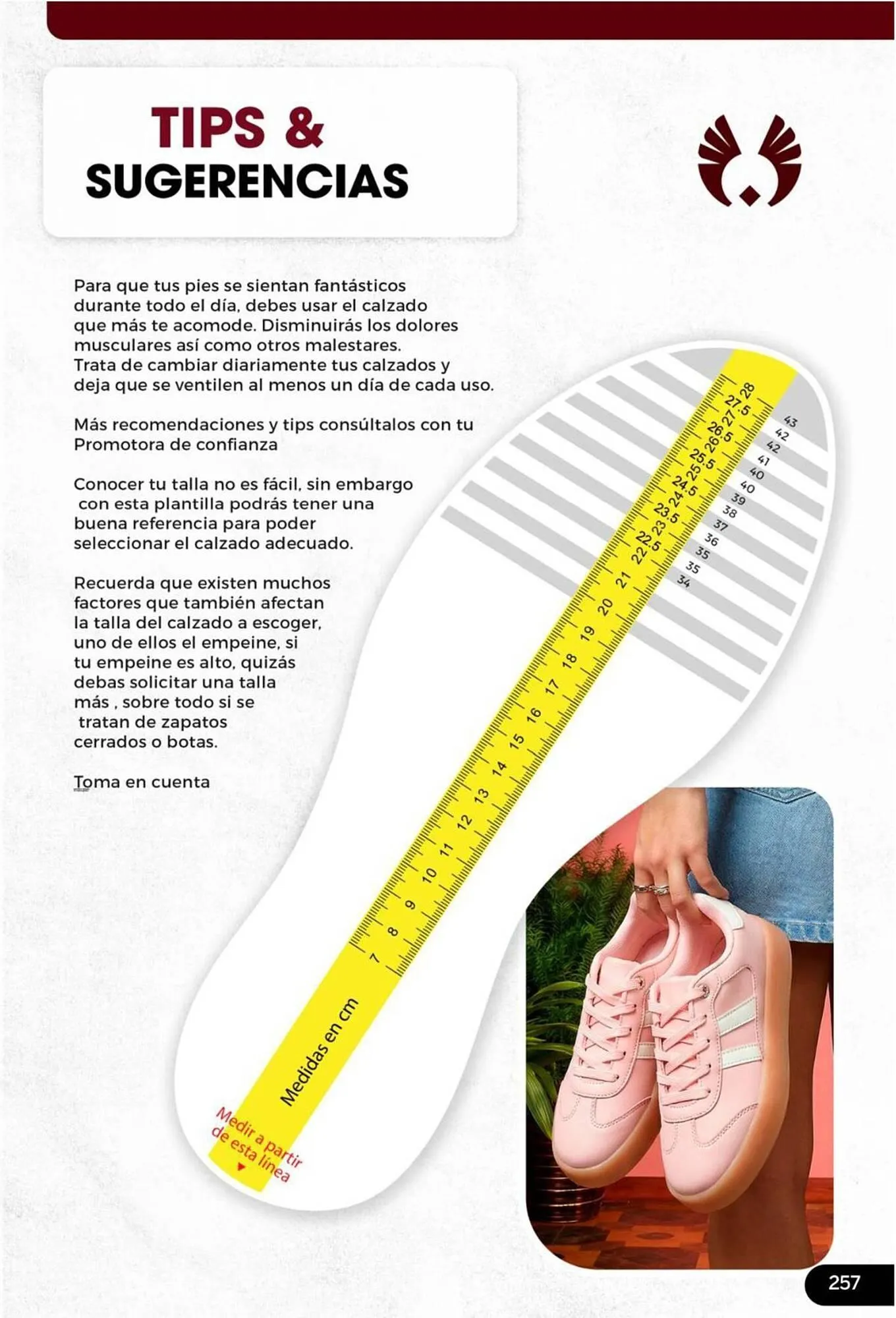 Catalogo de Catálogo Sokso 27 de febrero al 5 de abril 2026 - Pag 257