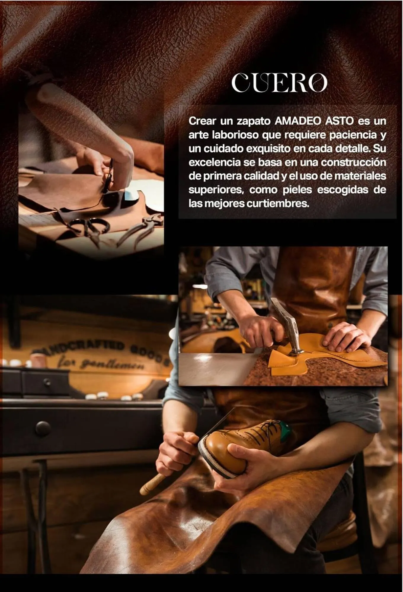 Catalogo de Catálogo Sokso 30 de junio al 10 de agosto 2025 - Pag 2