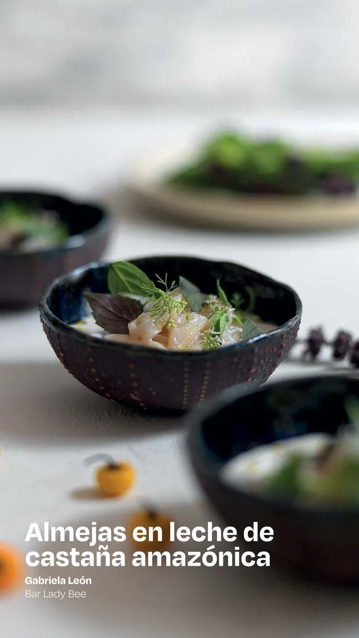 Catalogo de Sabores de 40 anos 4 de julio al 31 de diciembre 2024 - Pag 6