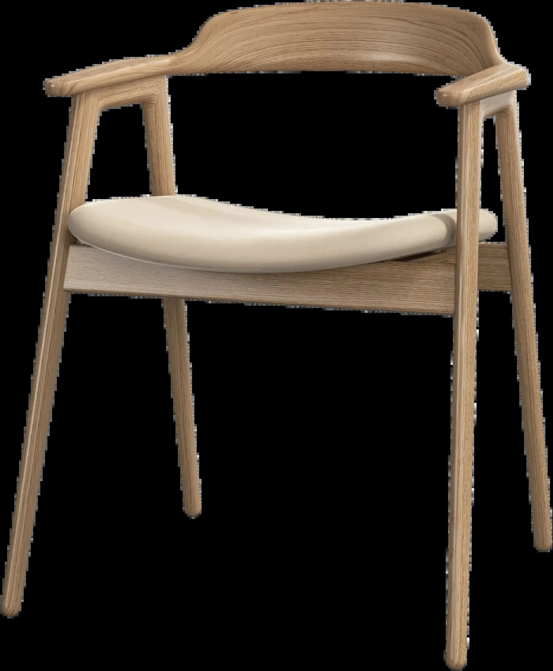 tela Bologna arena 3254