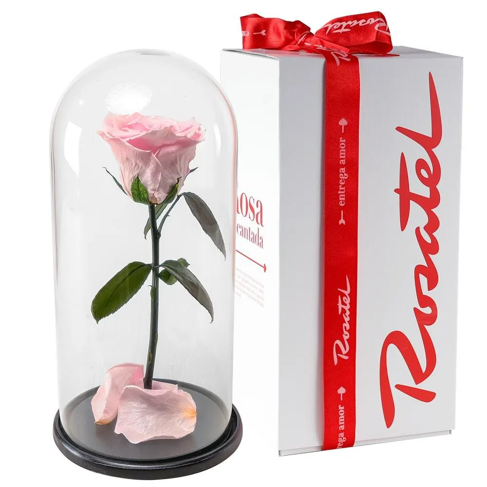 Rosa Encantada Rosada Satinada