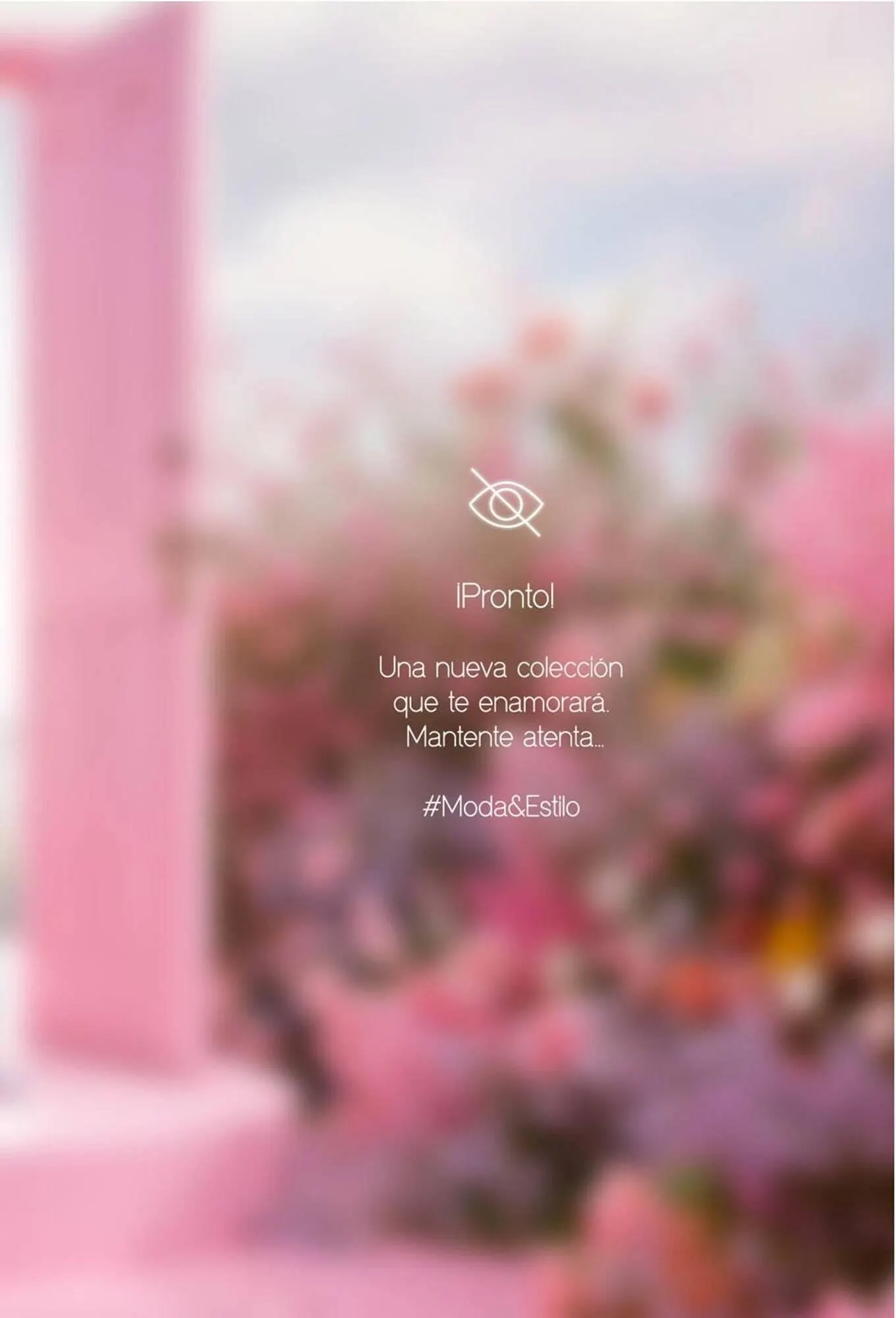 Catalogo de Catálogo Sokso 25 de setiembre al 2 de noviembre 2025 - Pag 5