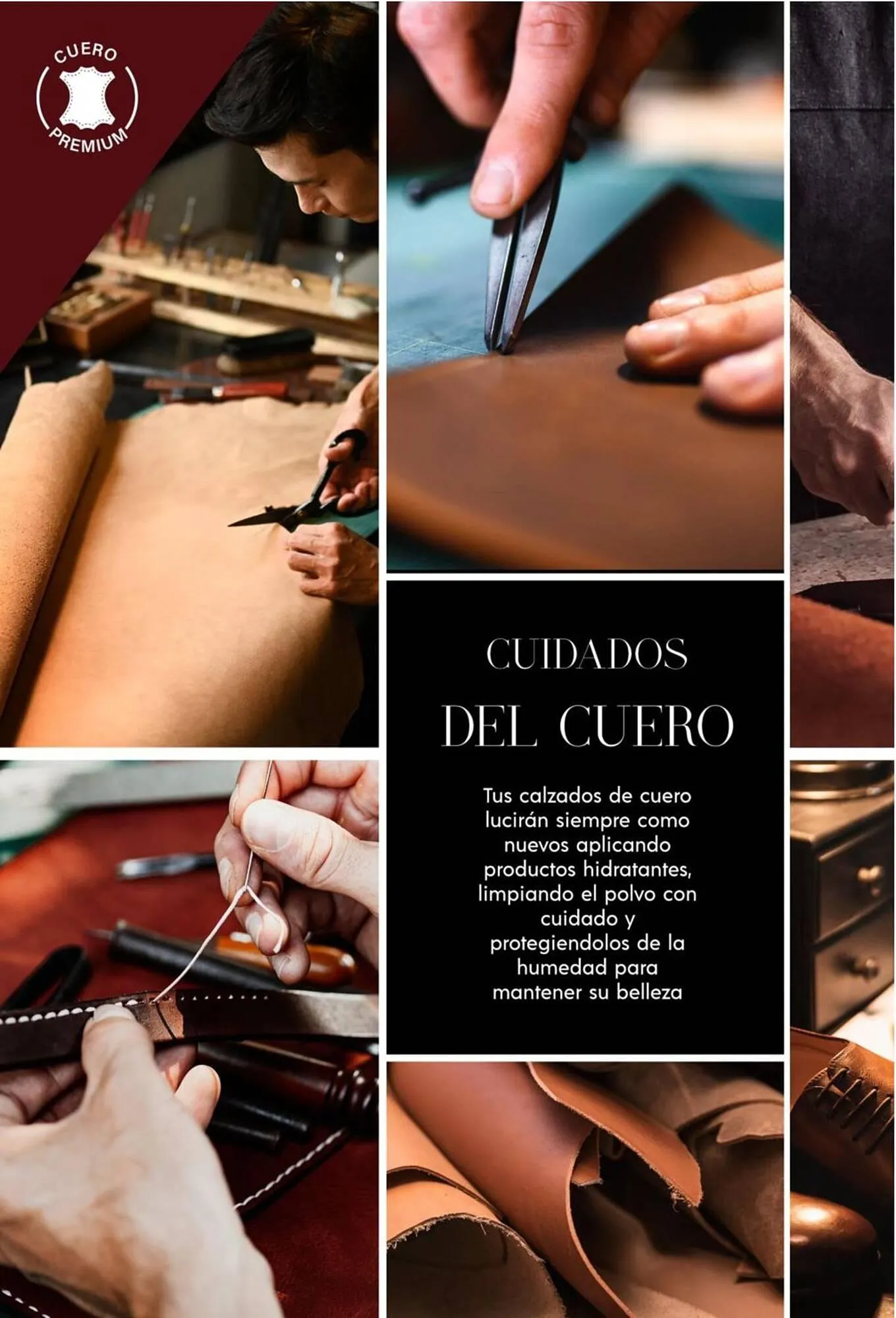 Catalogo de Catálogo Sokso 3 de abril al 4 de mayo 2025 - Pag 2