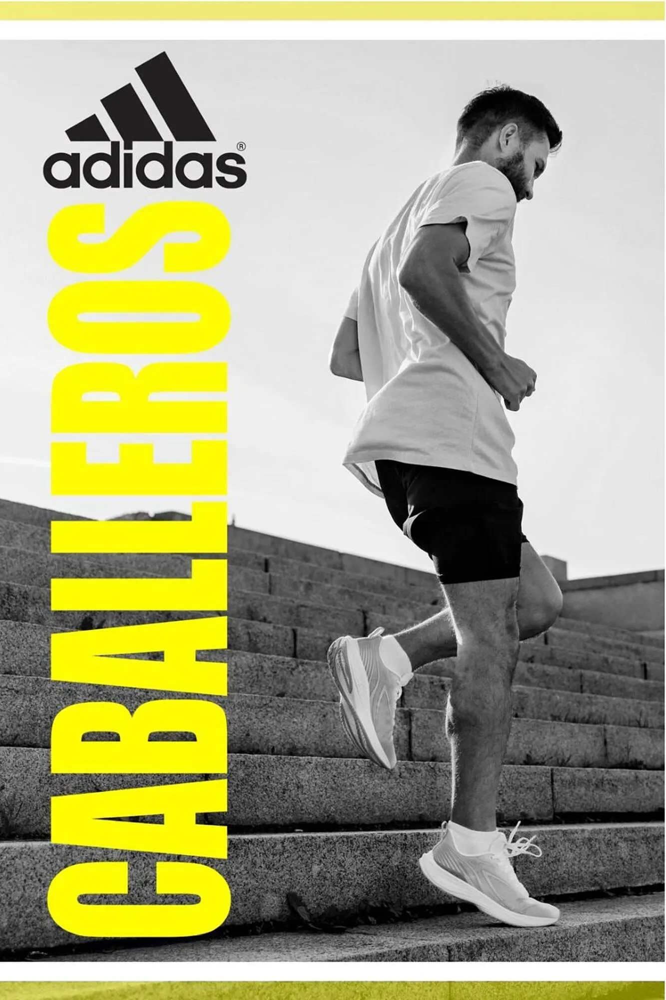 Catalogo de Catálogo Sokso 16 de junio al 6 de julio 2025 - Pag 24