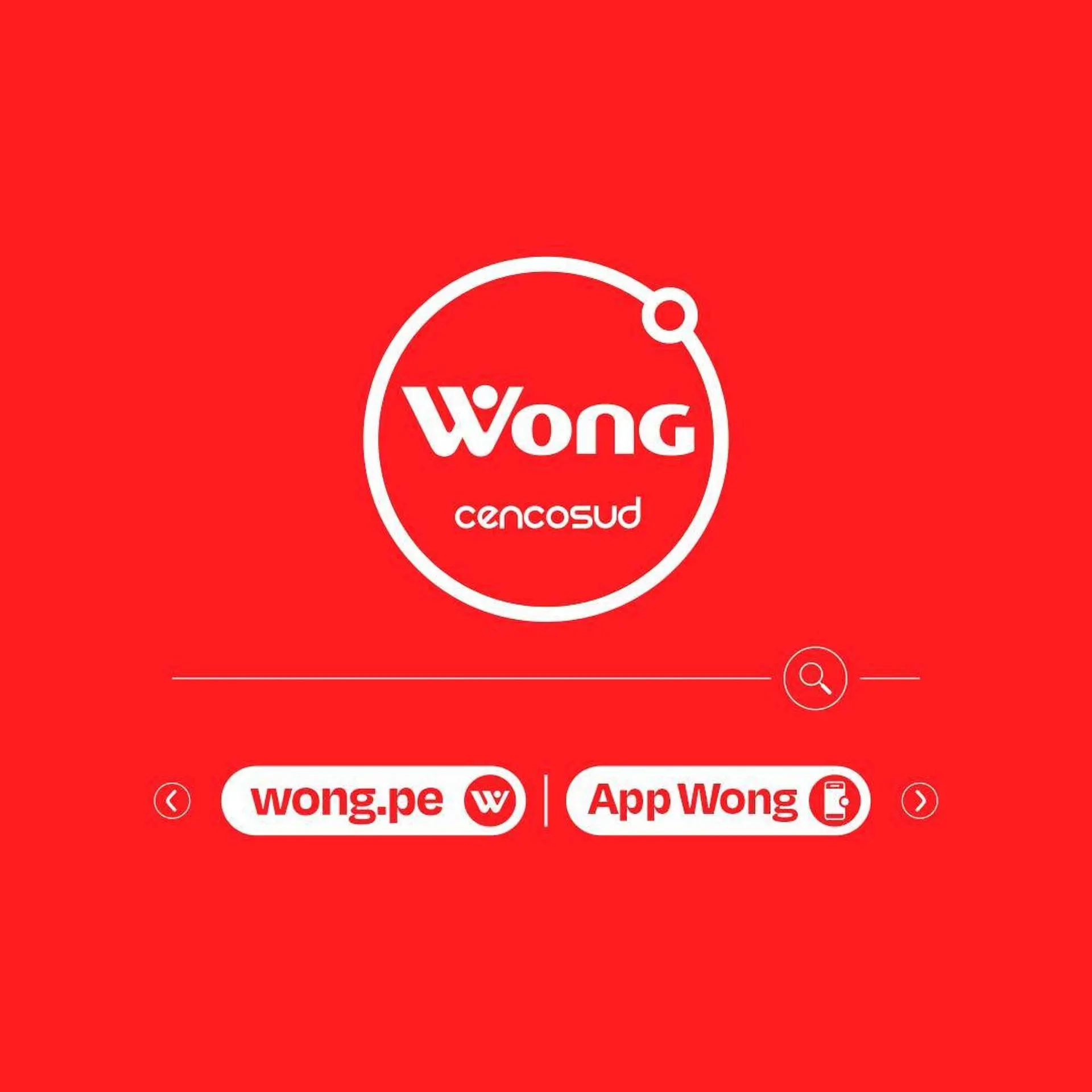 Catalogo de Catálogo Wong 17 de diciembre al 23 de diciembre 2024 - Pag 4