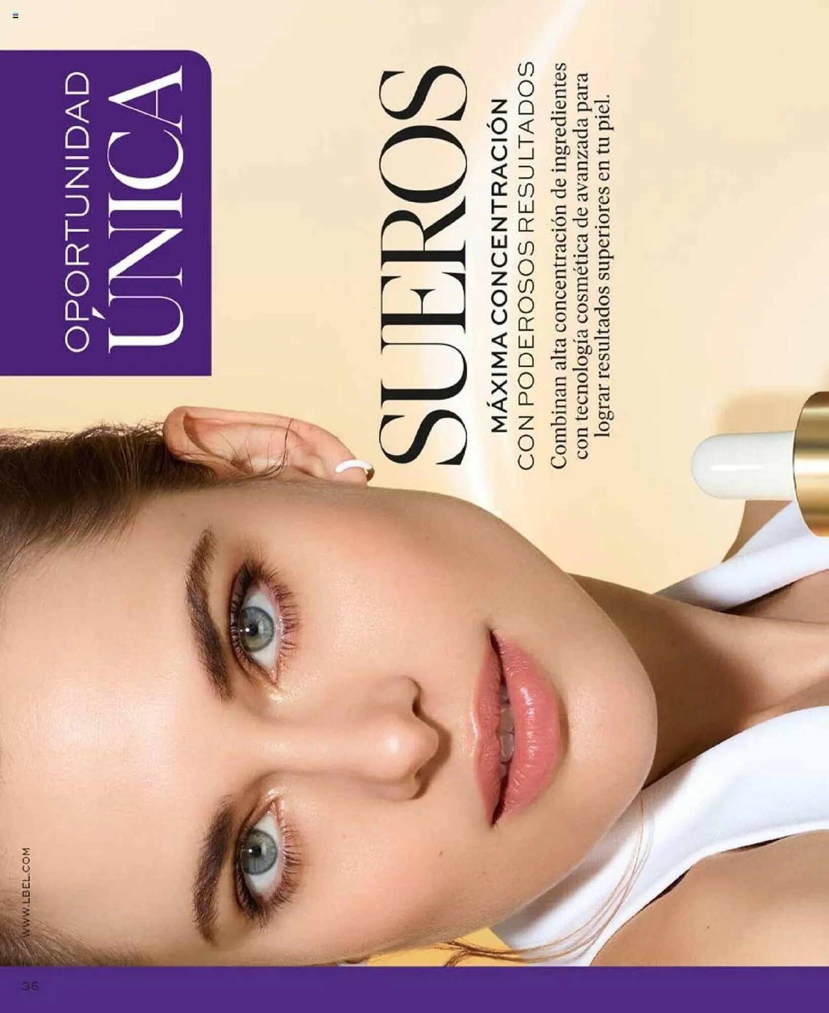 Catalogo de Catálogo L'Bel 28 de enero al 17 de febrero 2024 - Pag 36