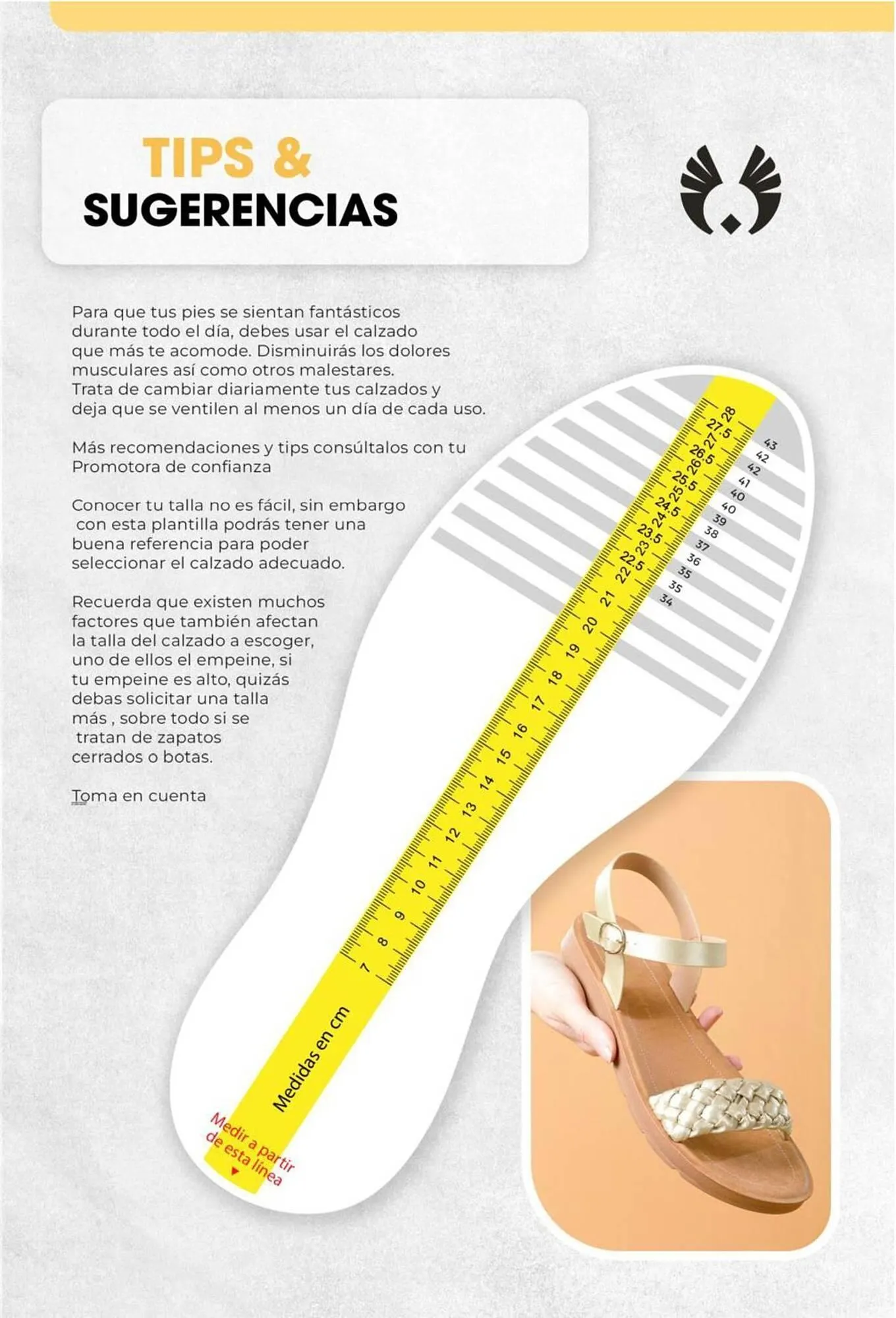 Catalogo de Catálogo Sokso 27 de febrero al 6 de abril 2025 - Pag 137