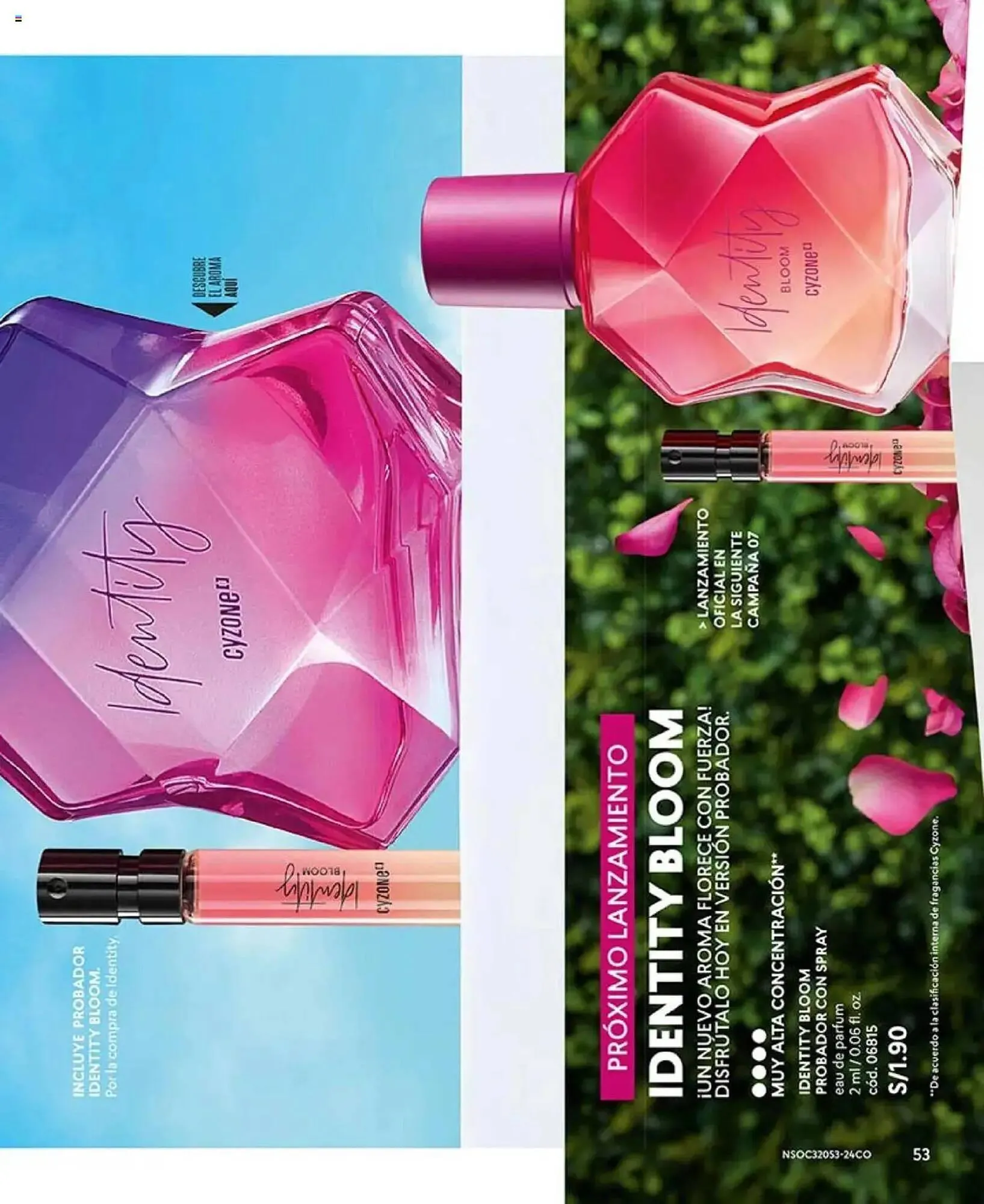 Catalogo de Catálogo Cyzone 3 de marzo al 31 de marzo 2025 - Pag 53