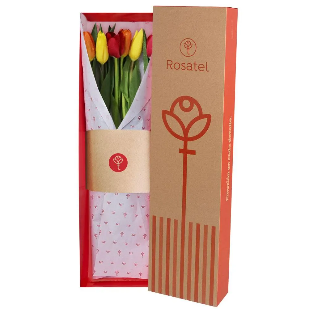 Caja Natural 6 Tulipanes de Colores