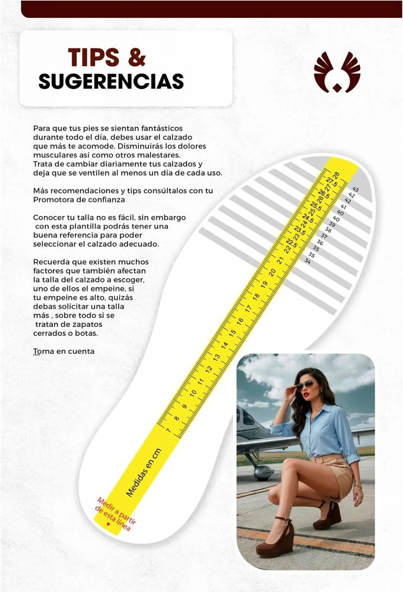 Catalogo de Catálogo Sokso 4 de mayo al 31 de mayo 2026 - Pag 277