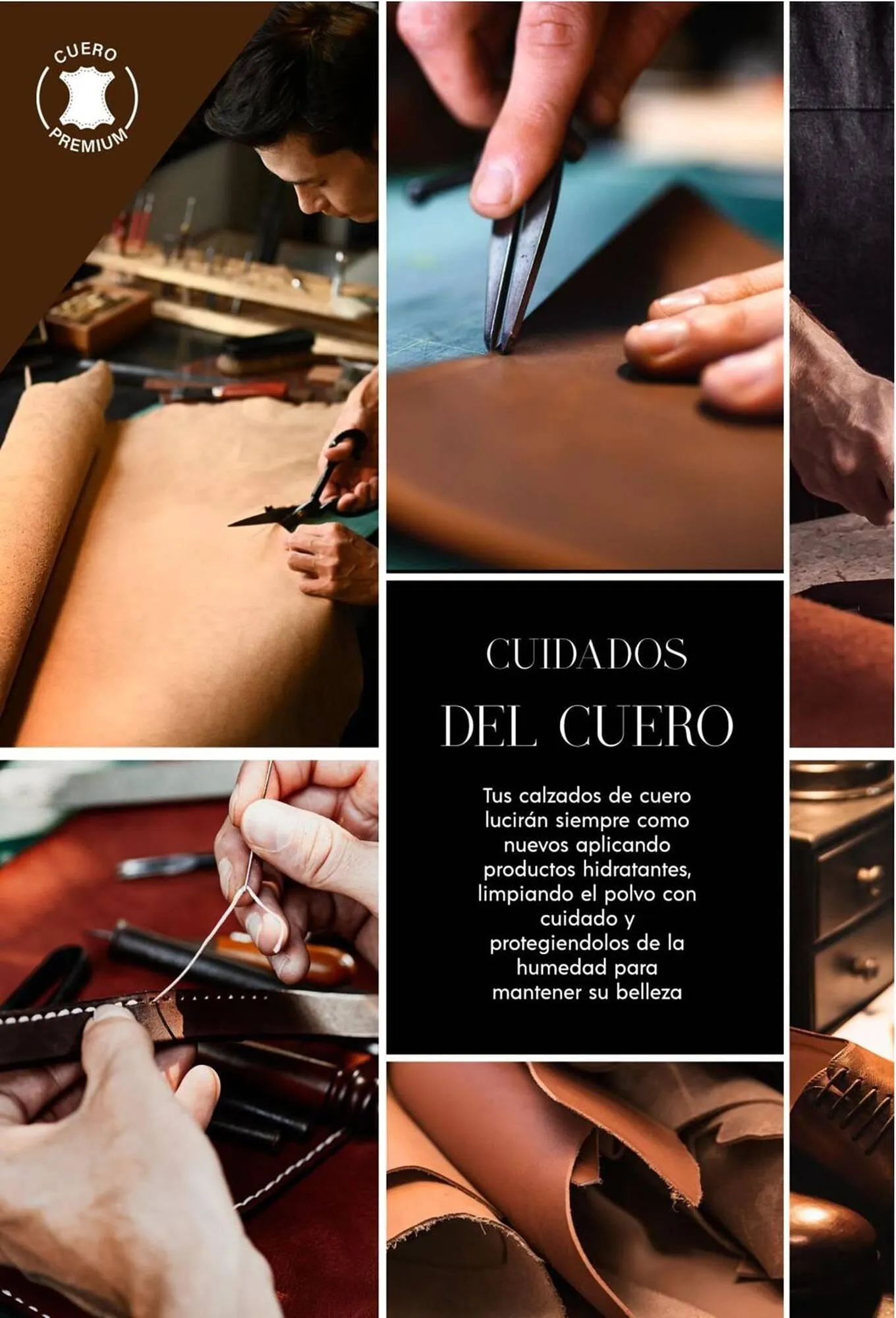 Catalogo de Catálogo Sokso 5 de mayo al 1 de junio 2025 - Pag 2