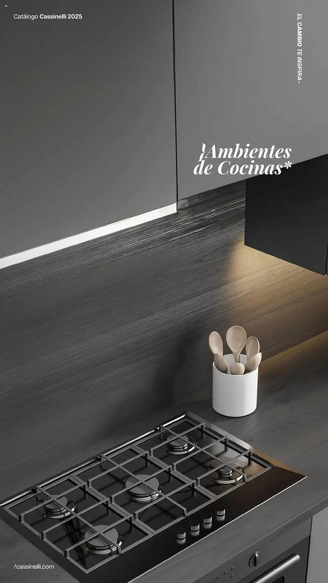 Catalogo de Catálogo Cassinelli 5 de agosto al 3 de enero 2026 - Pag 24