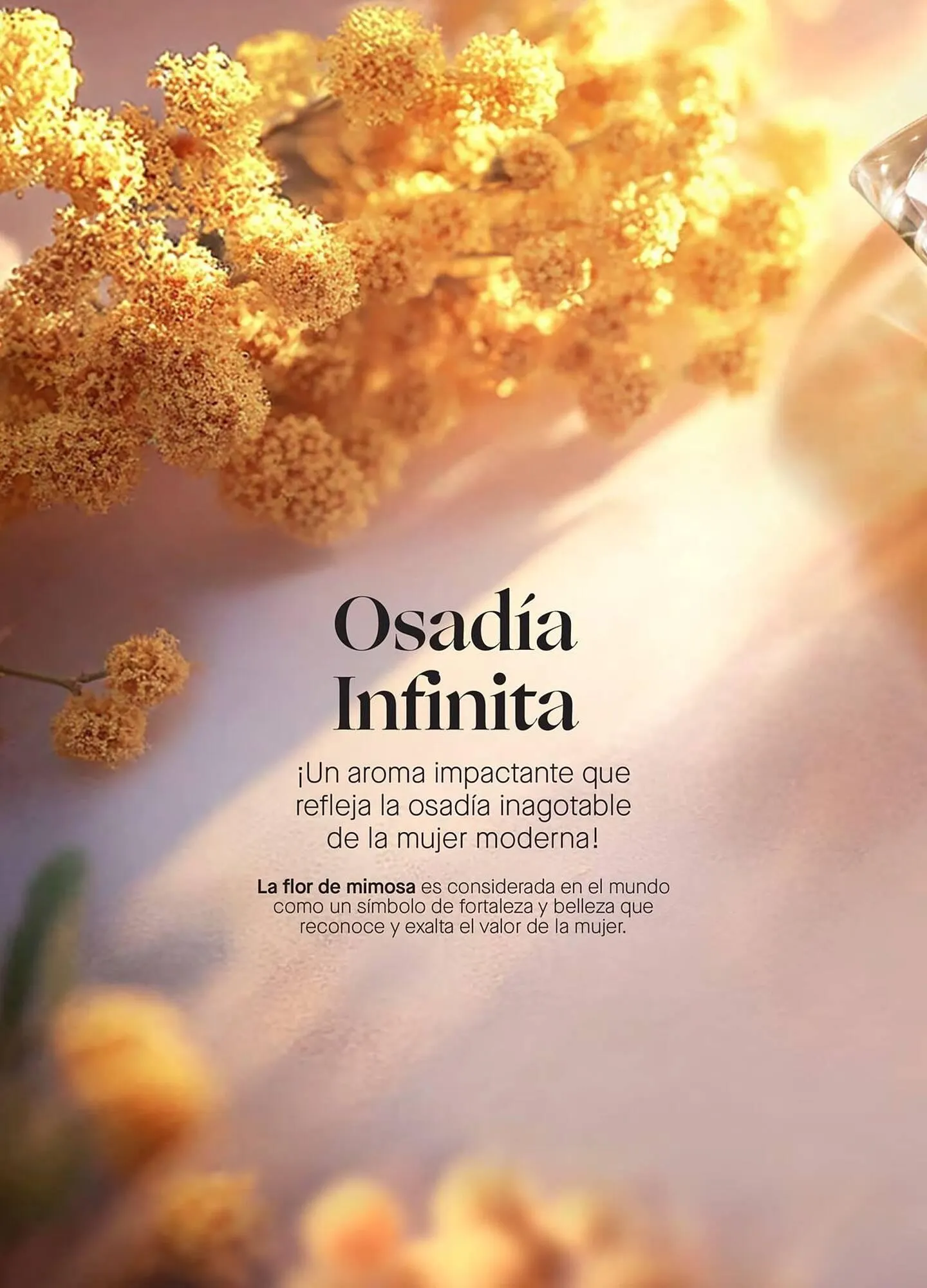 Catalogo de Catálogo Yanbal 19 de julio al 16 de agosto 2025 - Pag 30