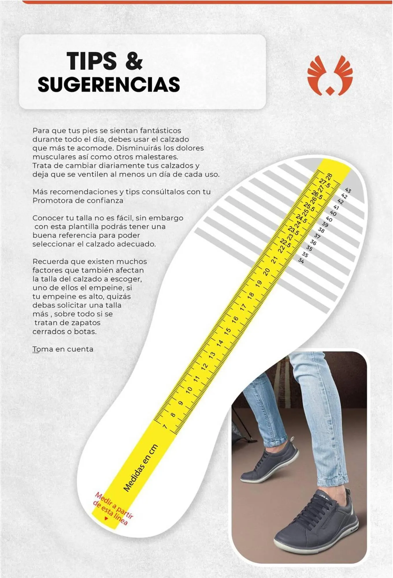 Catalogo de Catálogo Sokso 31 de diciembre al 16 de febrero 2025 - Pag 169