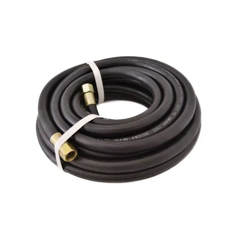 Manguera de Aire 10m Home Tools