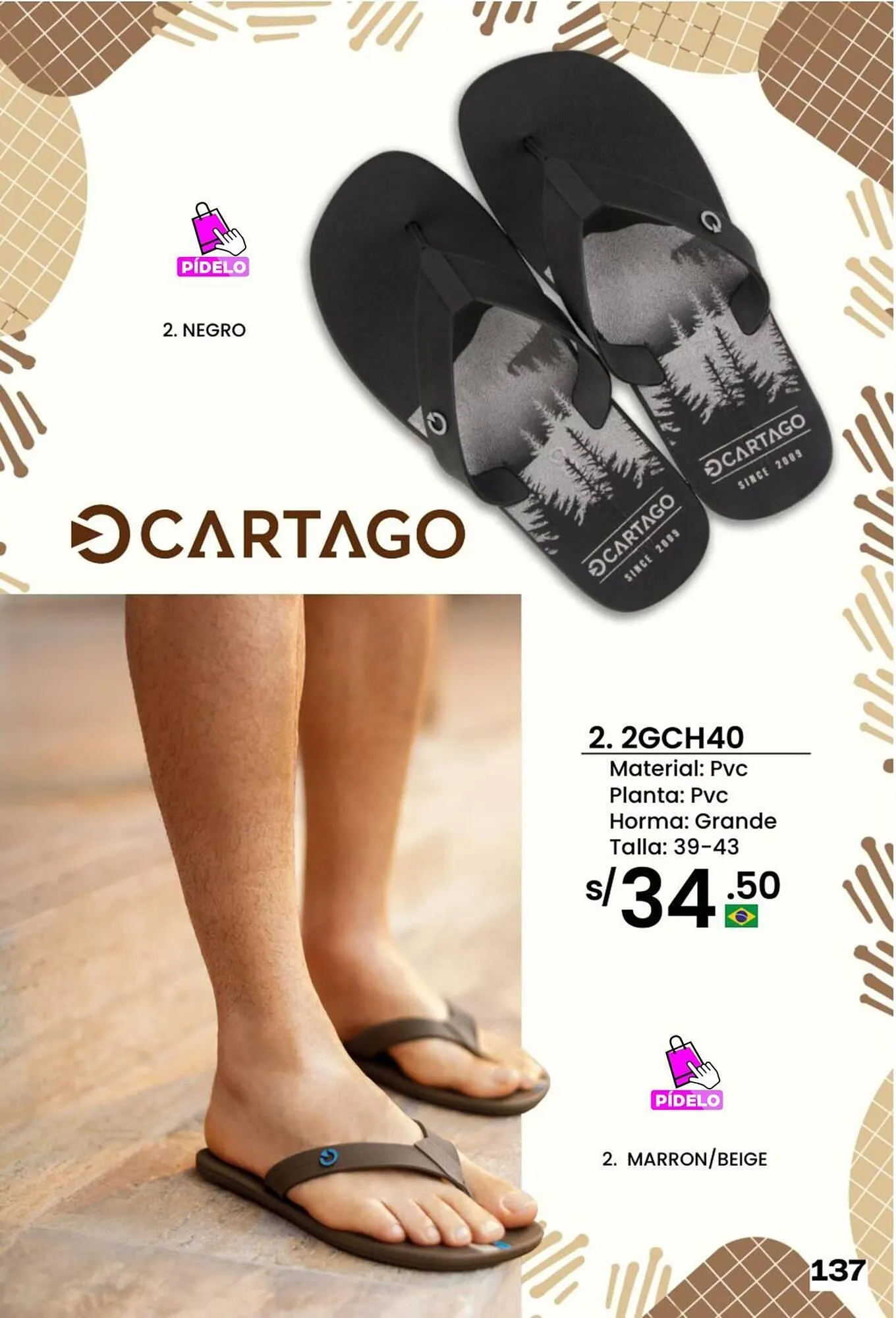 Catalogo de Catálogo Sokso 5 de enero al 15 de febrero 2026 - Pag 137