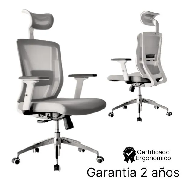Silla Ergonomica Delphi Gris