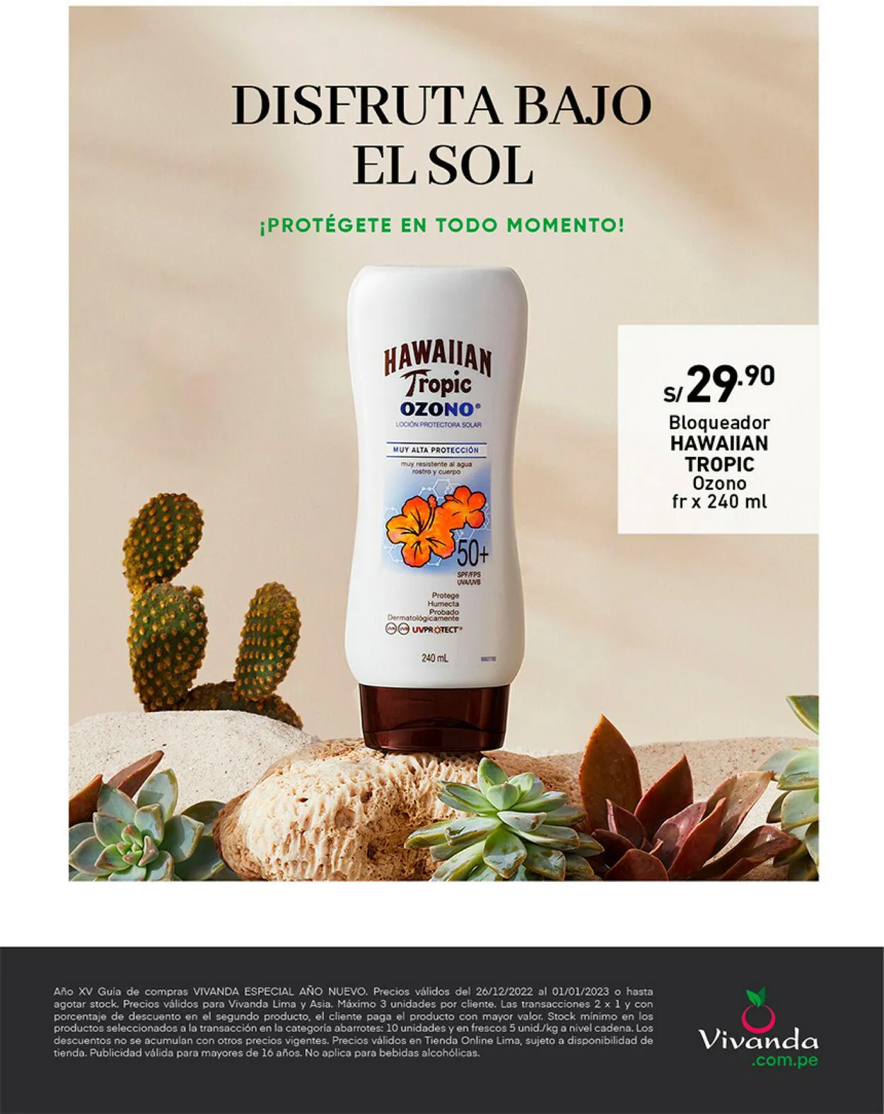 Catalogo de Vivanda 25 de diciembre al 1 de enero 2024 - Pag 60