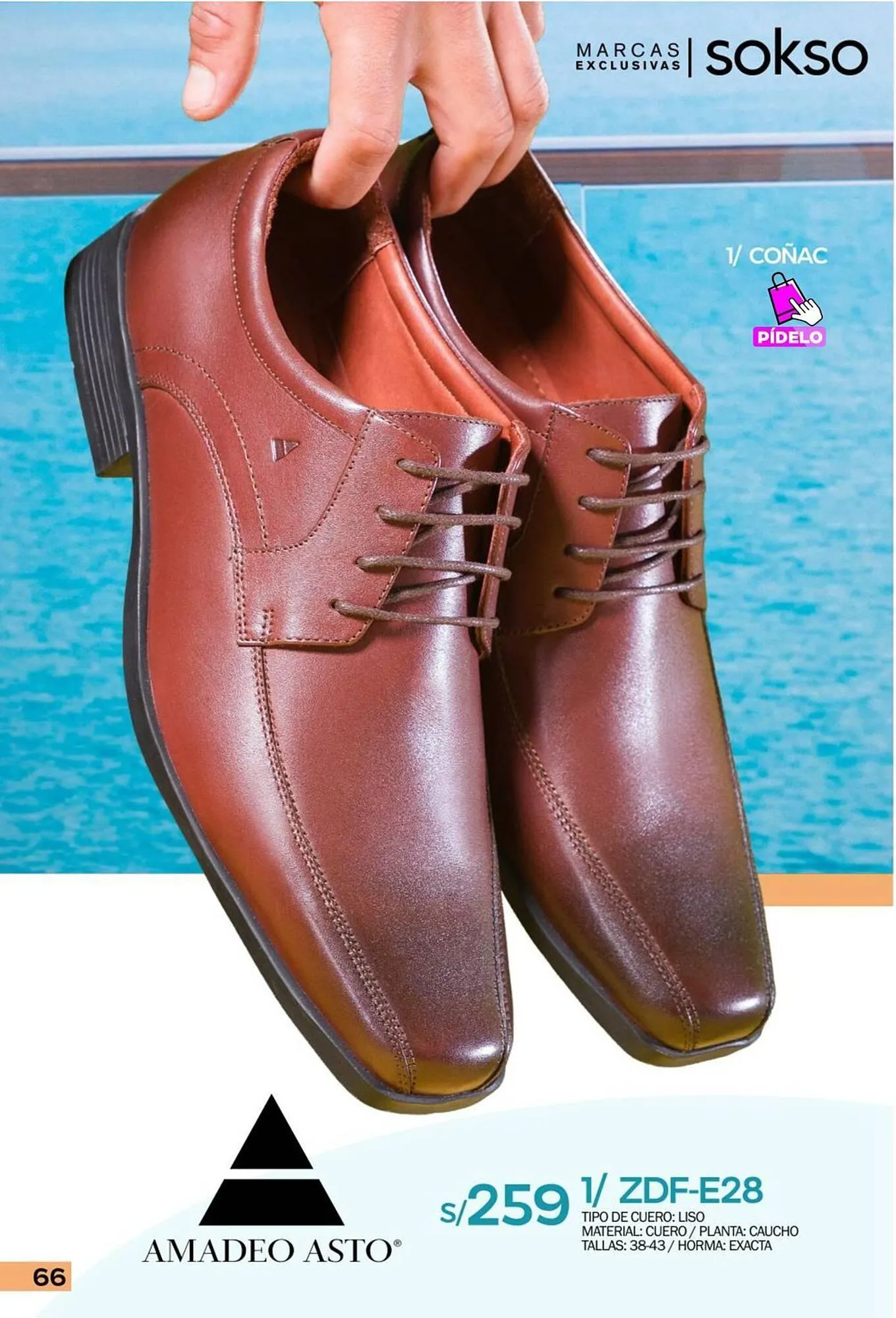 Catalogo de Catálogo Sokso 31 de diciembre al 16 de febrero 2025 - Pag 66